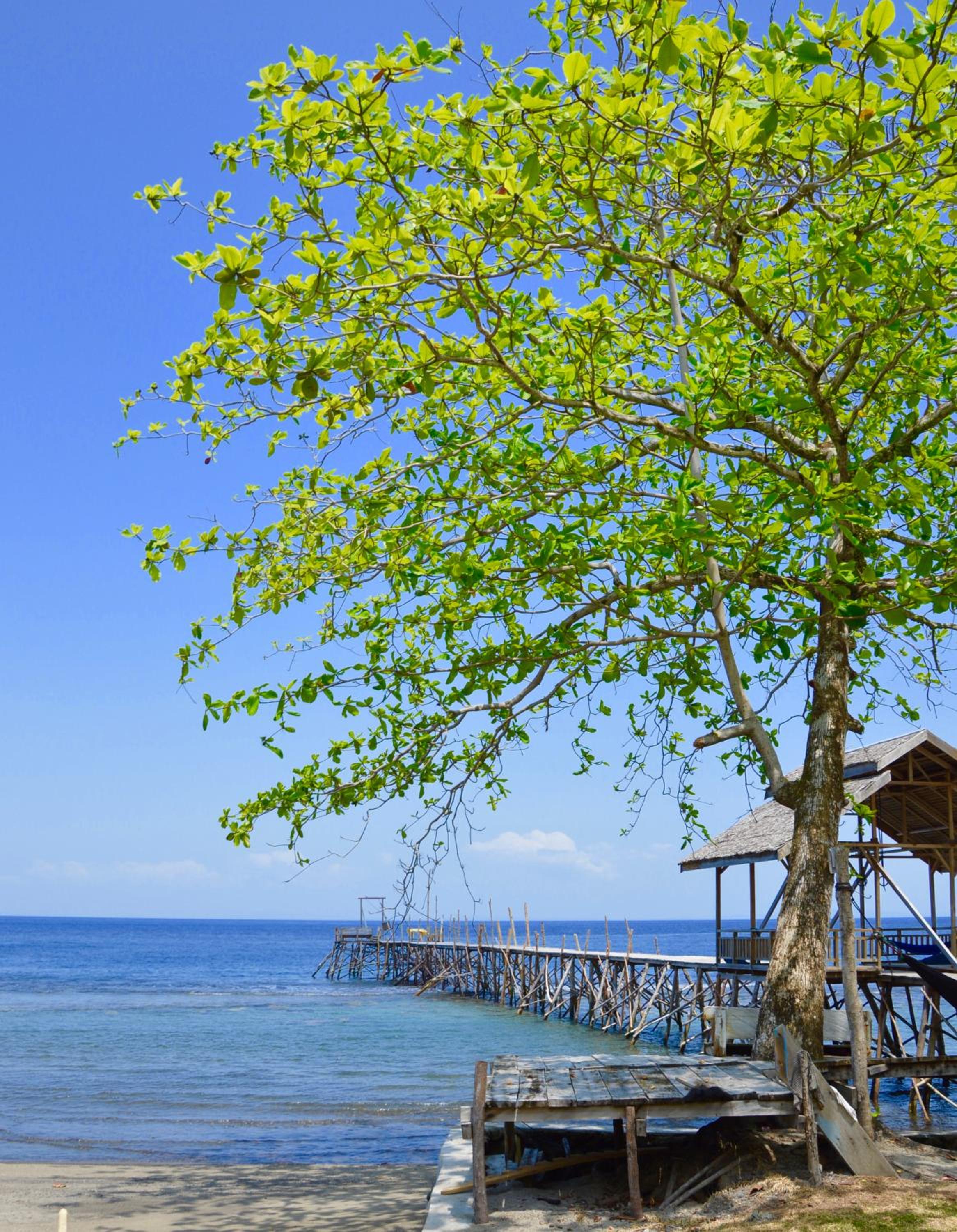 Pristine Paradise Dive Resort - Togean Islands, Una Una view 2