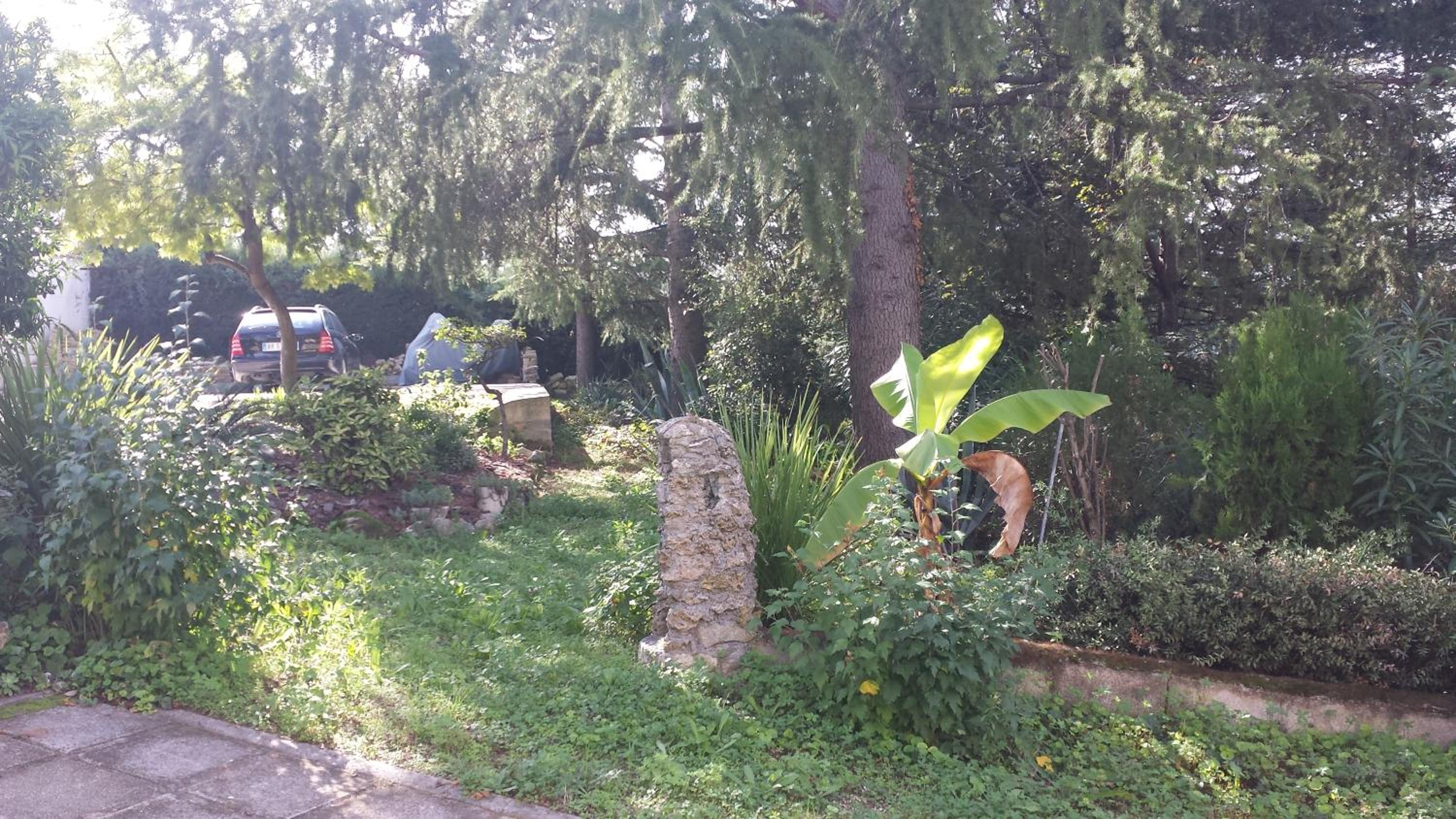 Photo 49