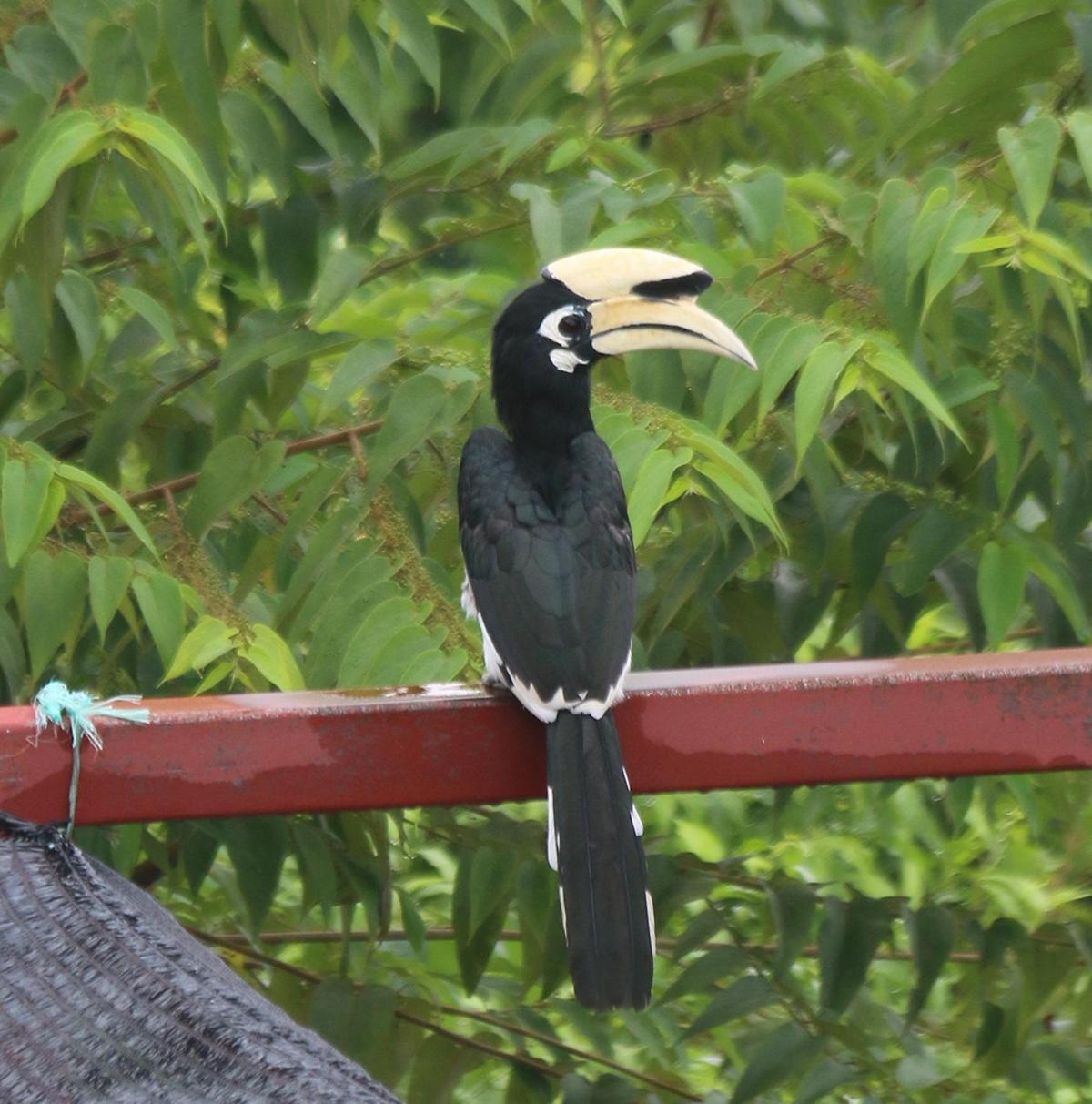 Veranda Nautica