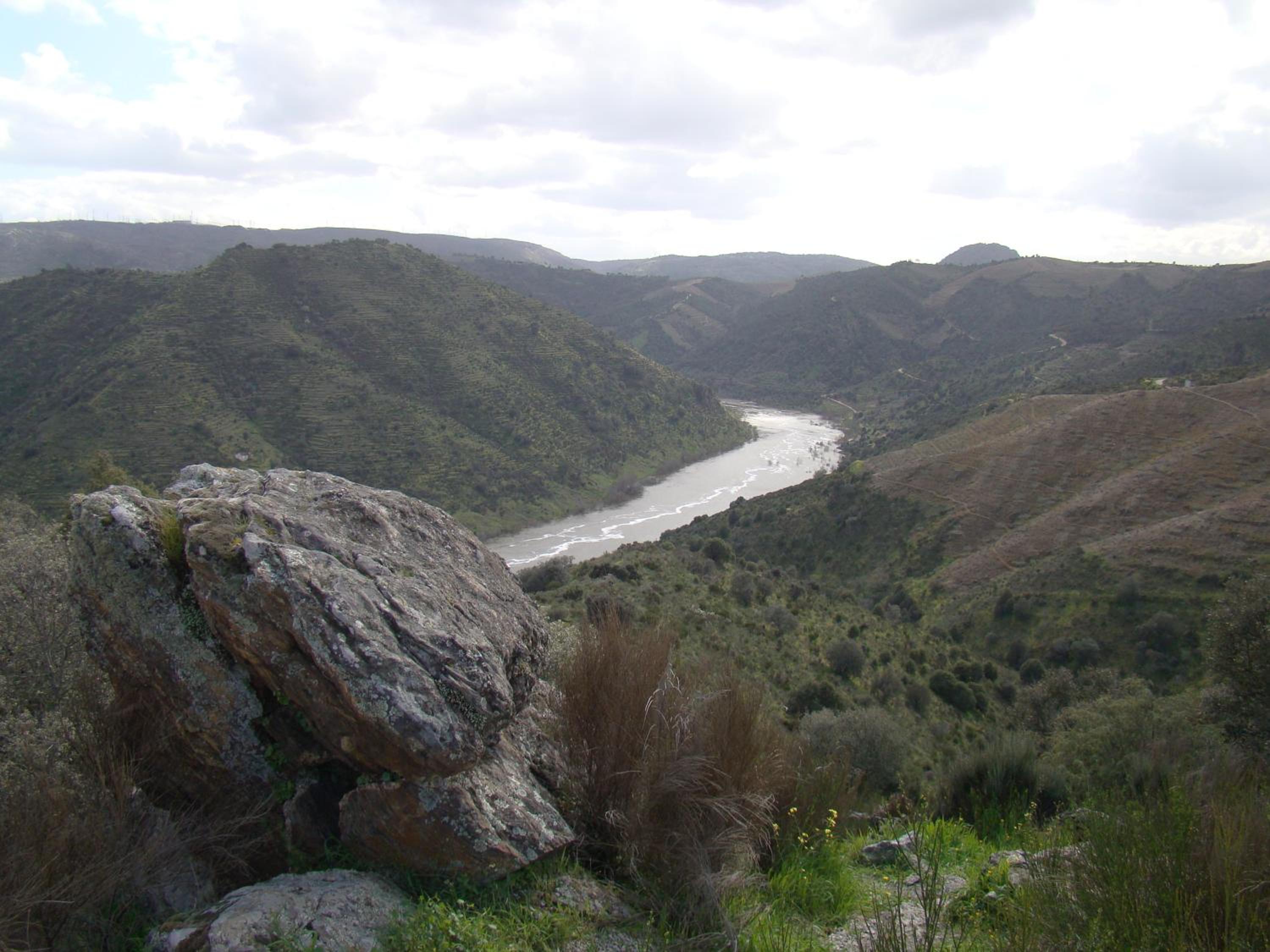 Photo 43