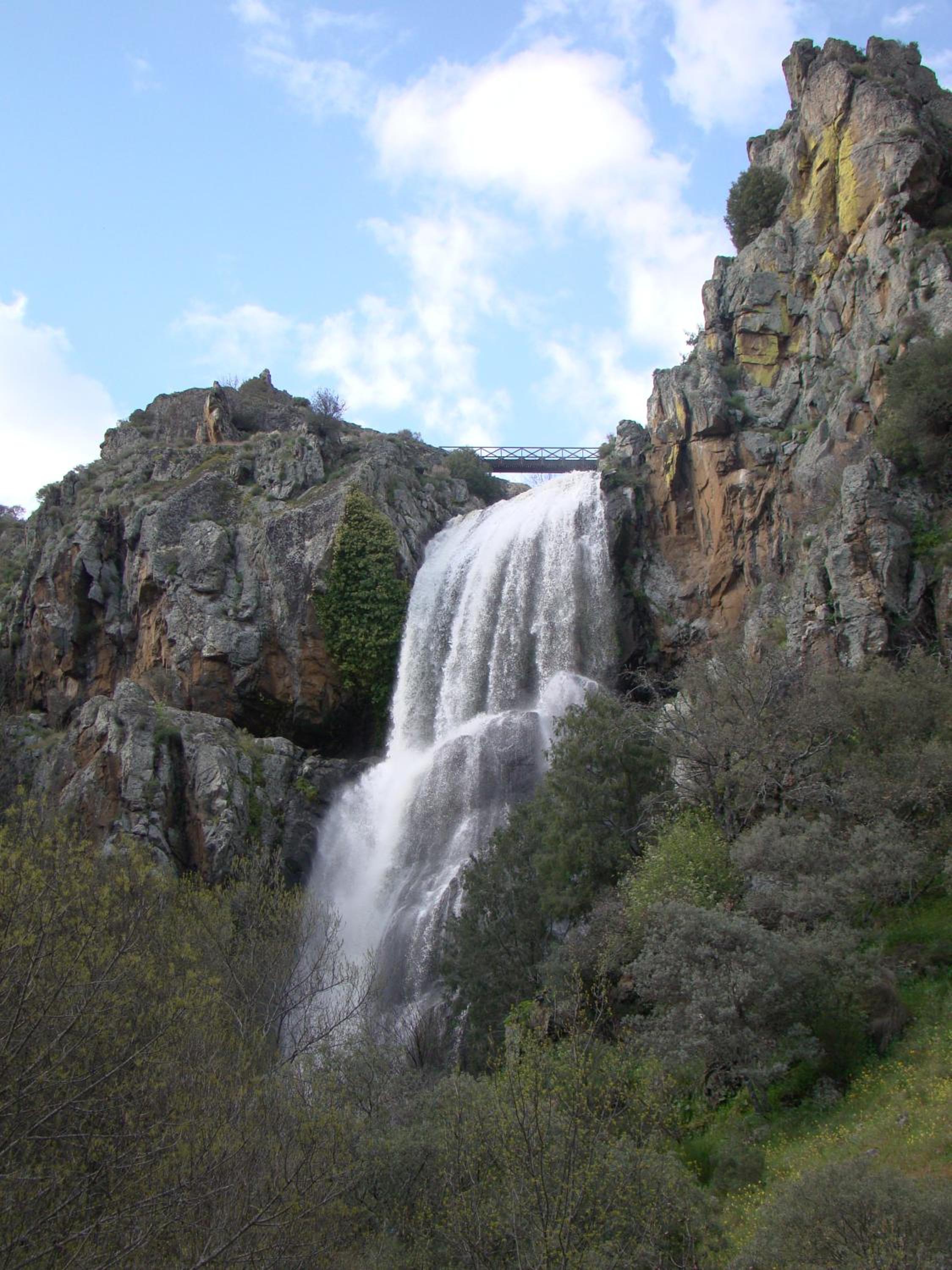 Photo 44