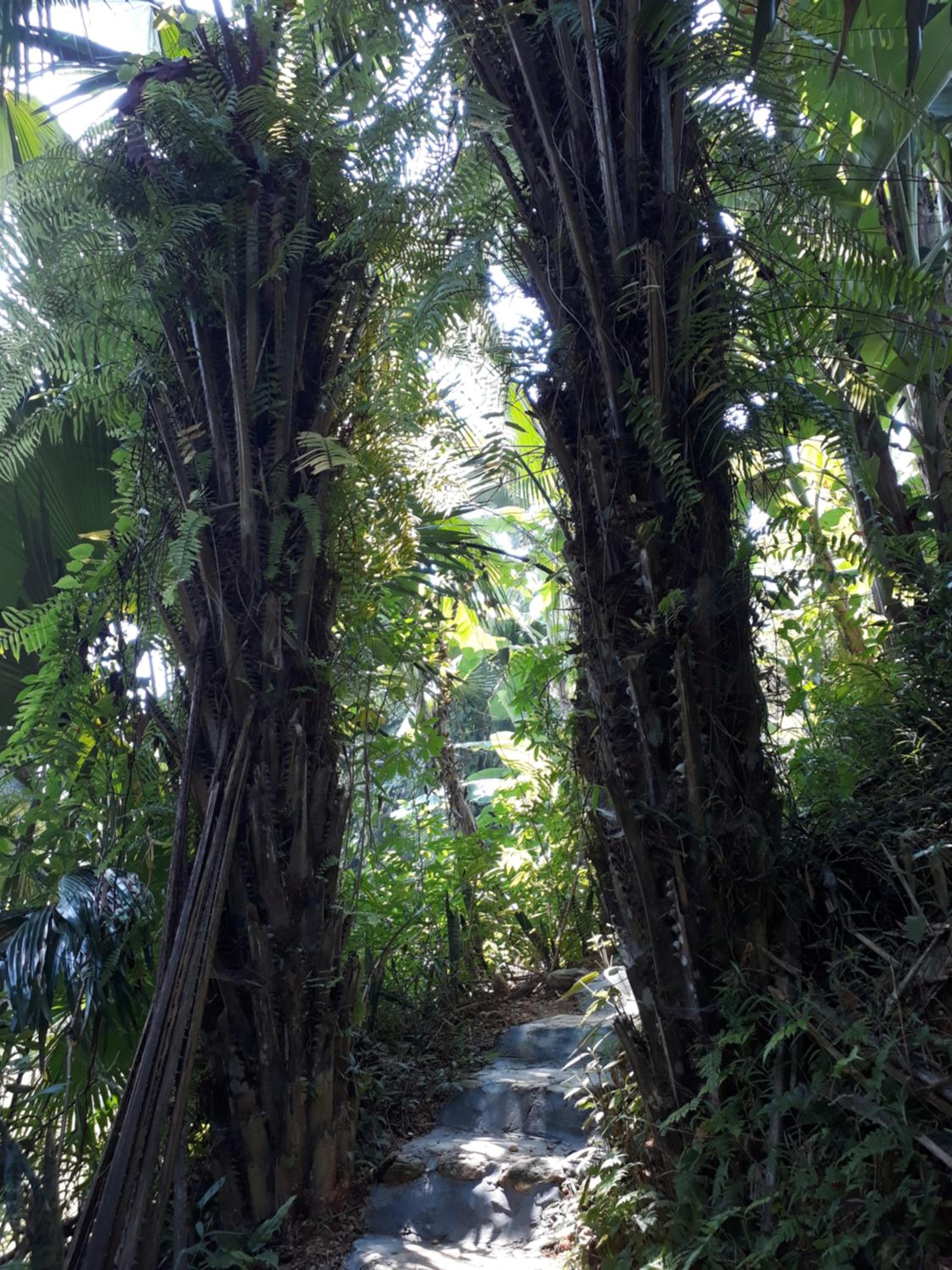Photo 41