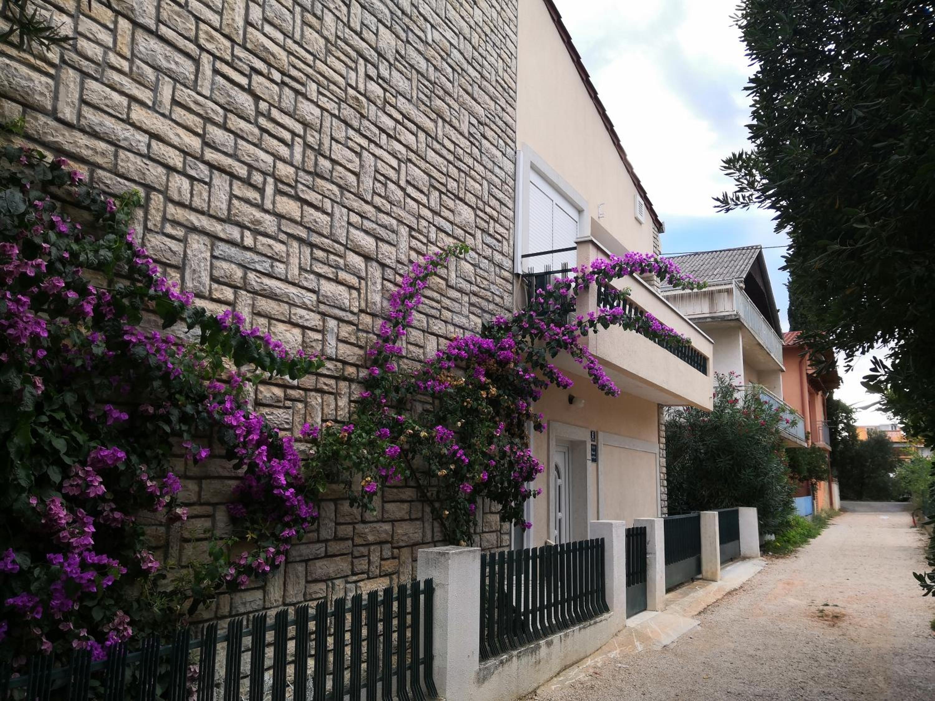 Apartments Brlečić view 4
