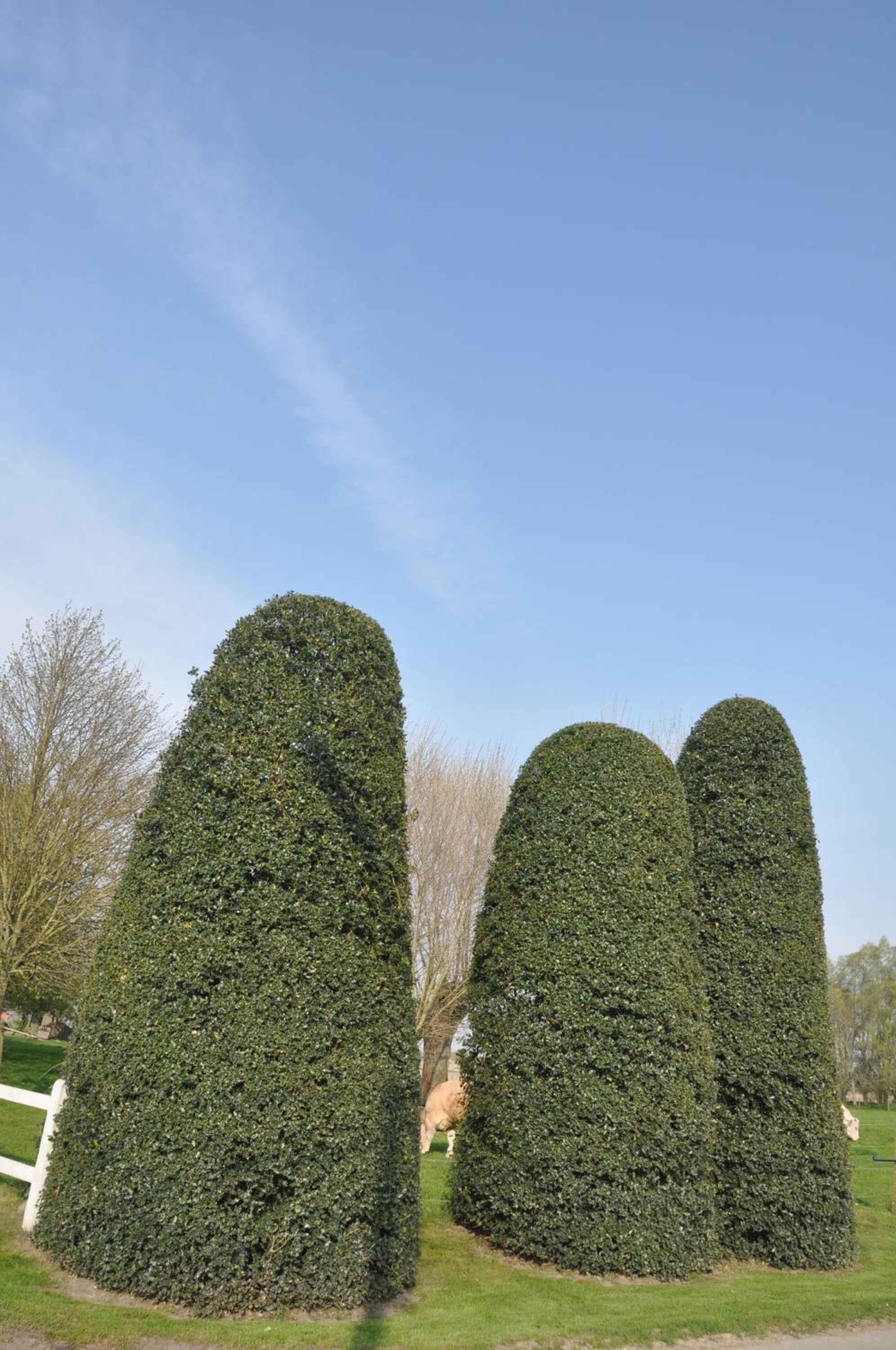 Hulstehof