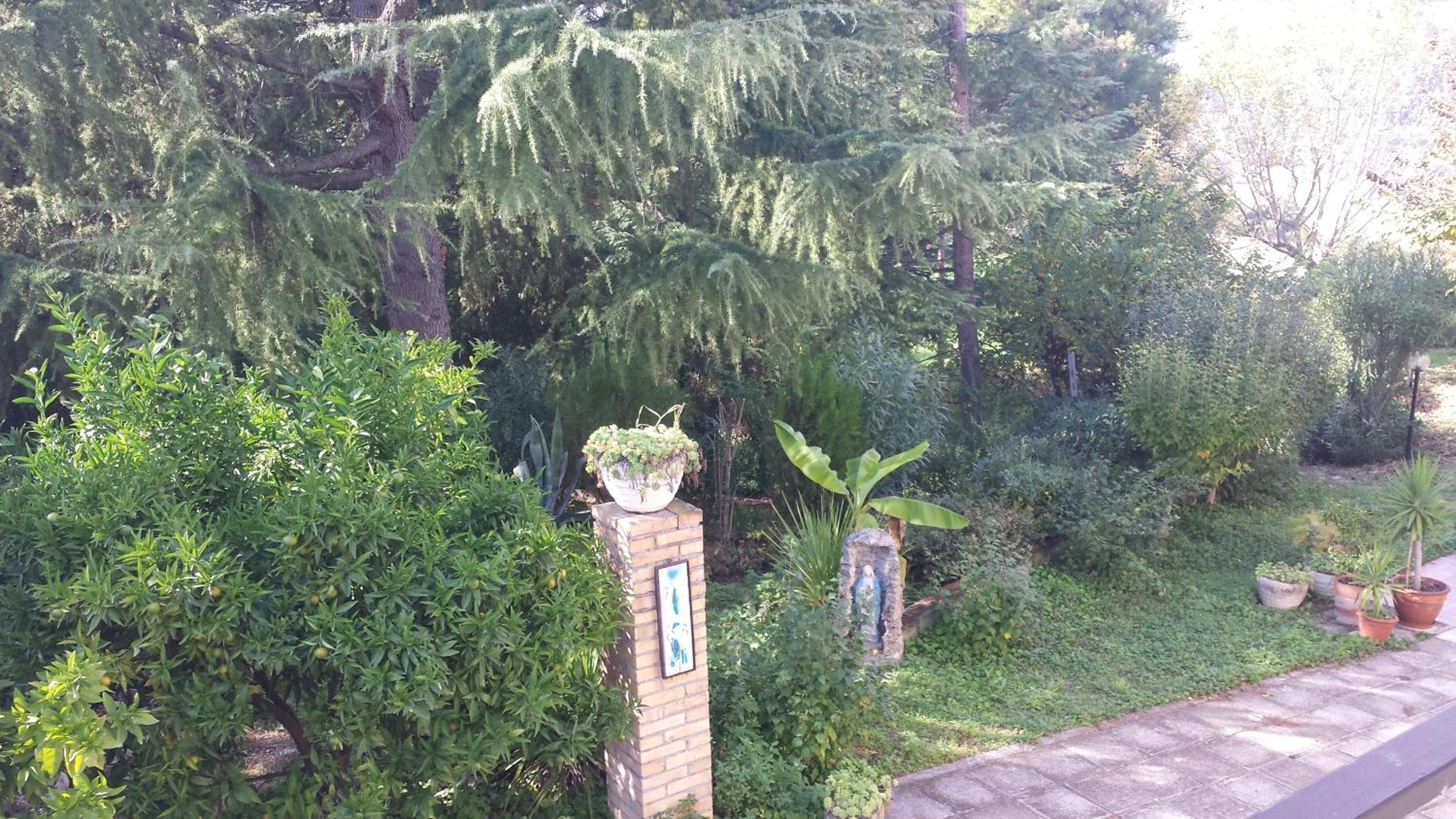 Photo 48