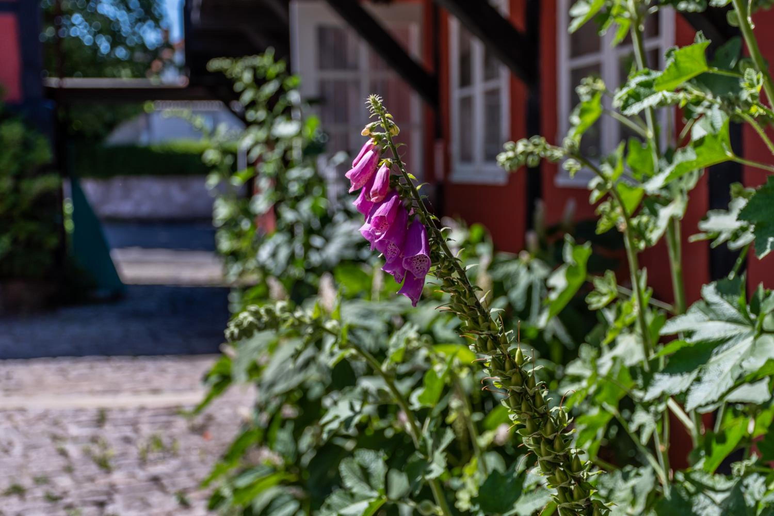 Pension Sandbogaard