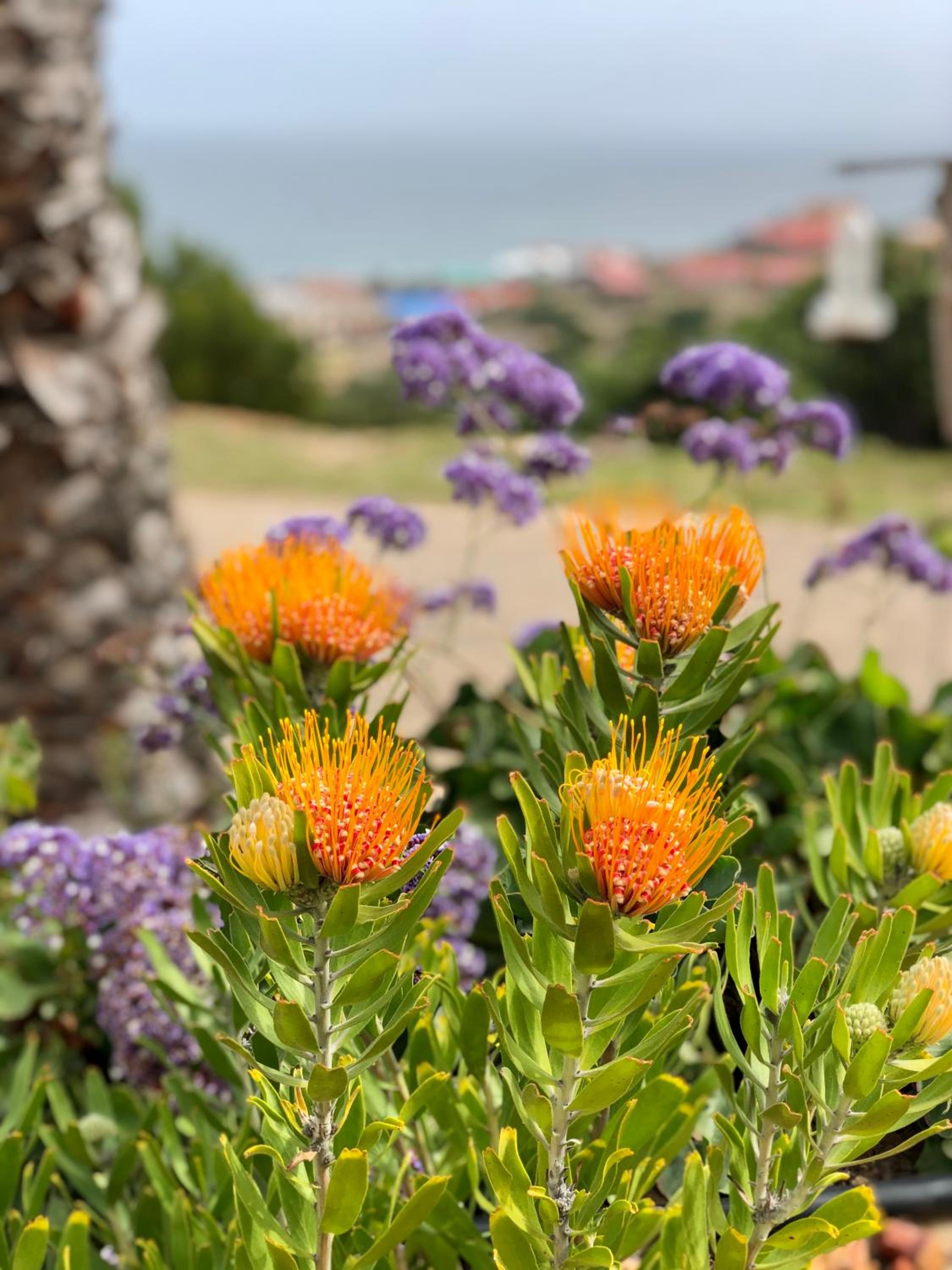 Maritima Holiday home view 5