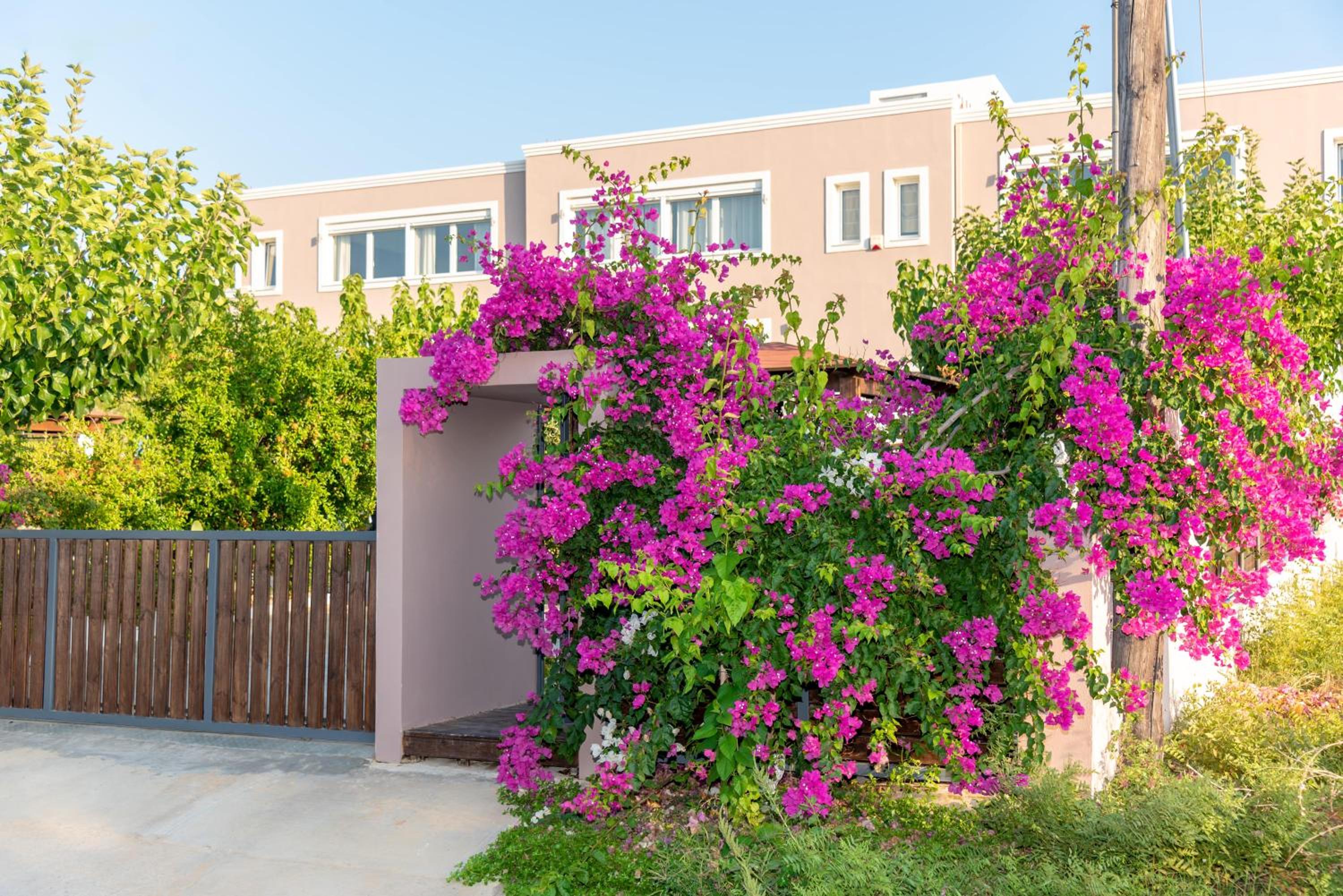 Hotel Luxury Suites in Stavromenos - Image 1