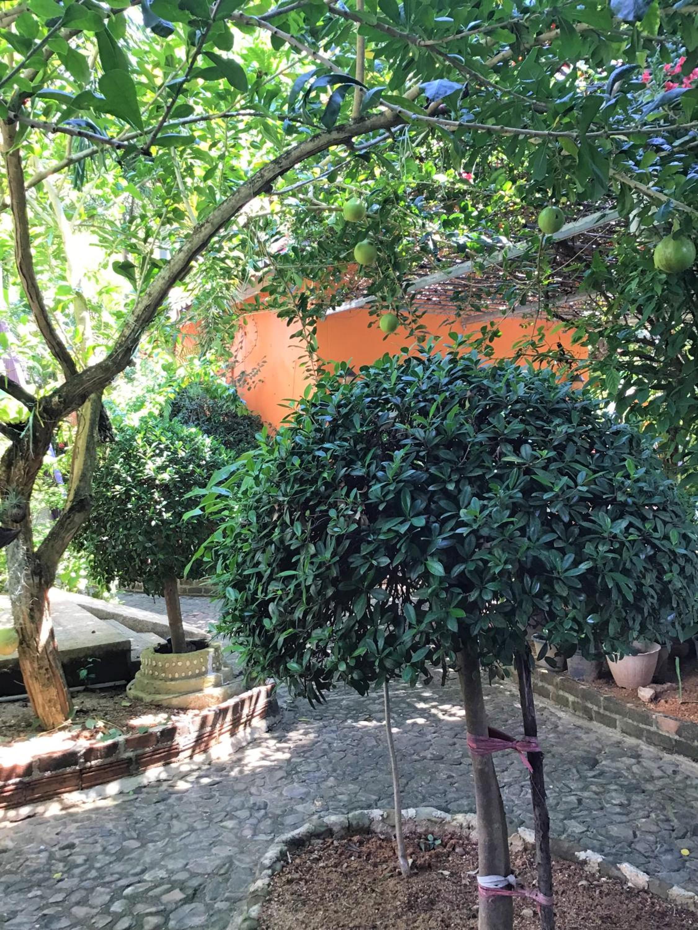 Pratum Resort