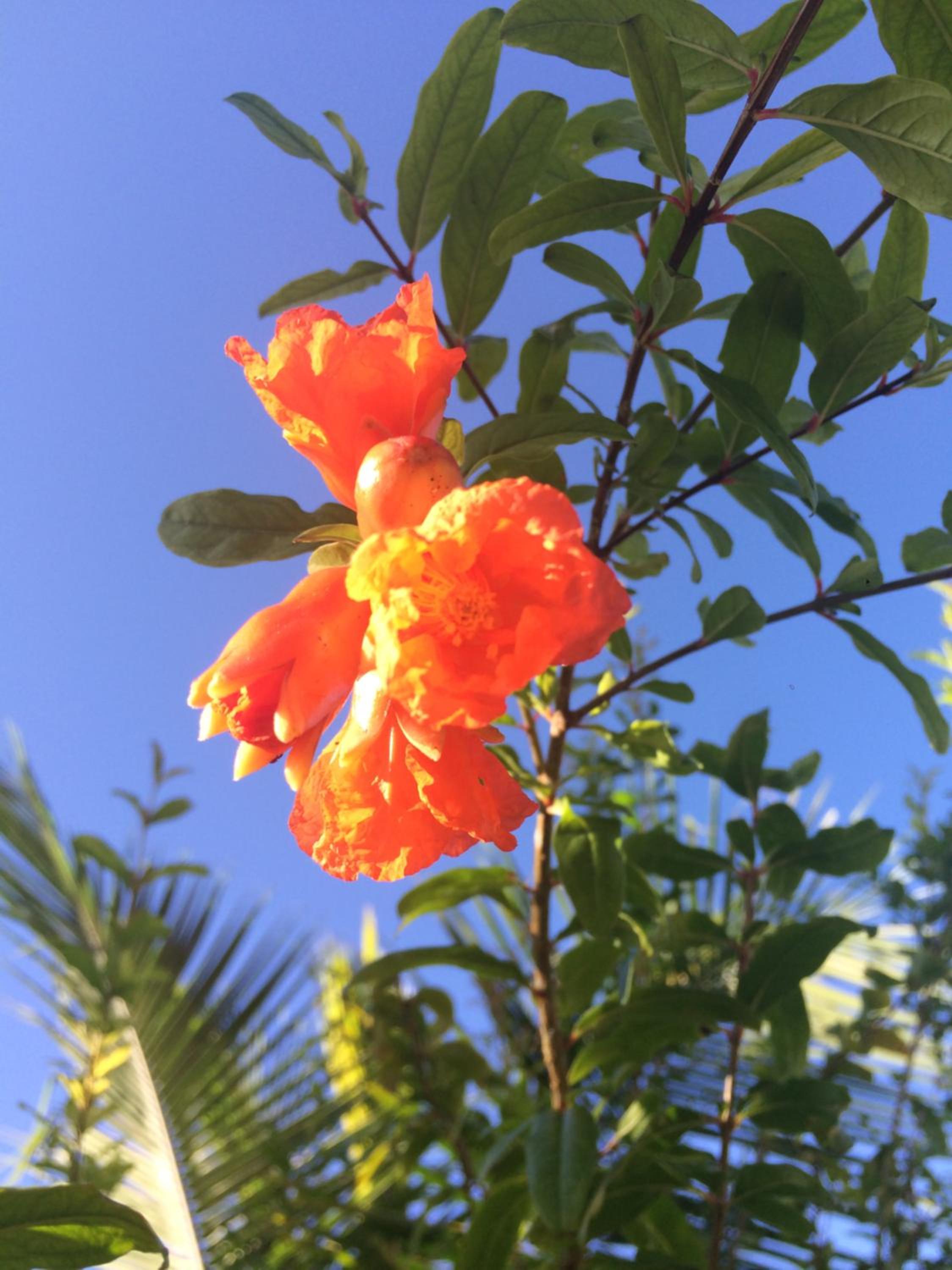 Pousada Kite Guajiru