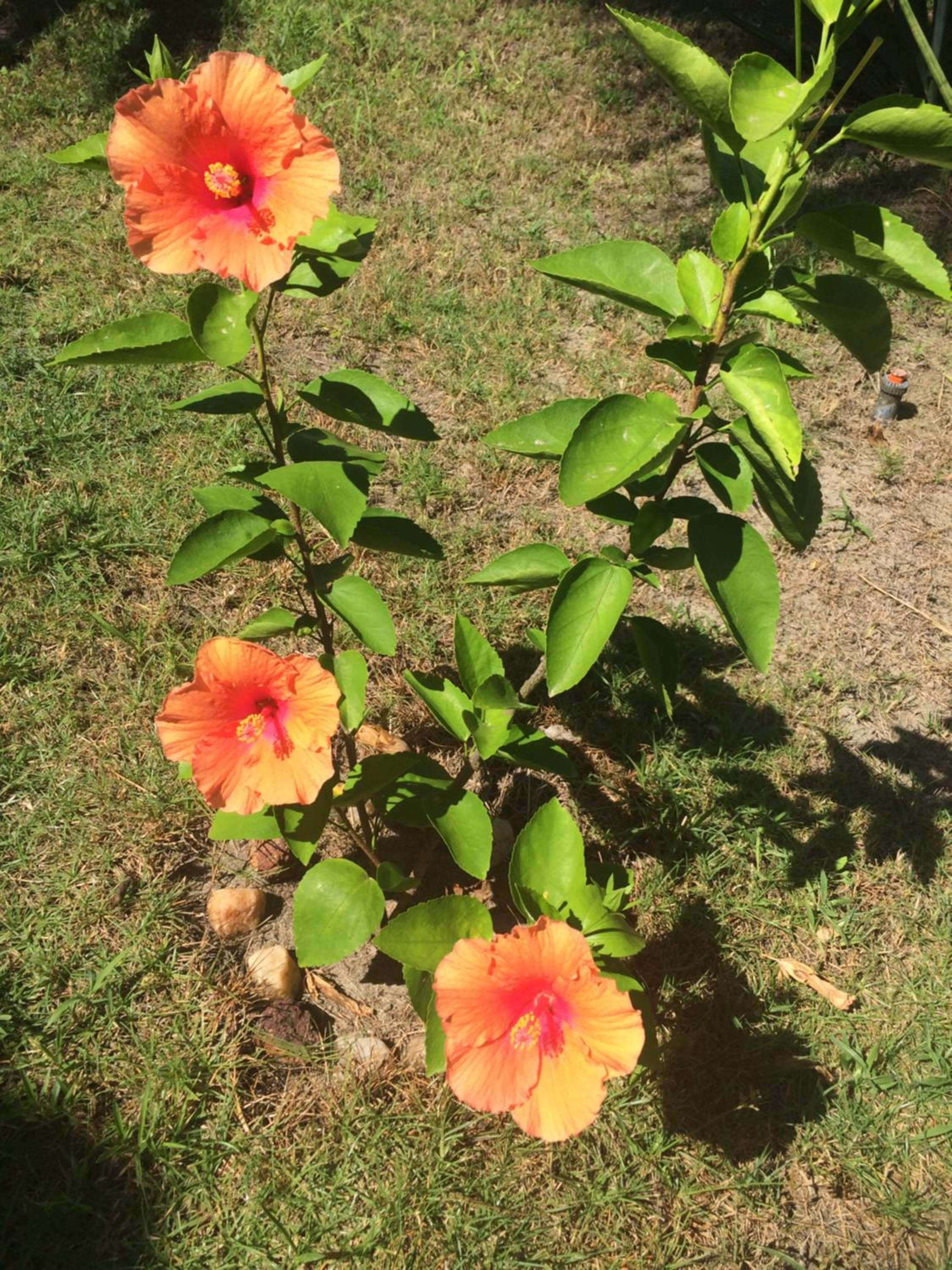 Pousada Kite Guajiru