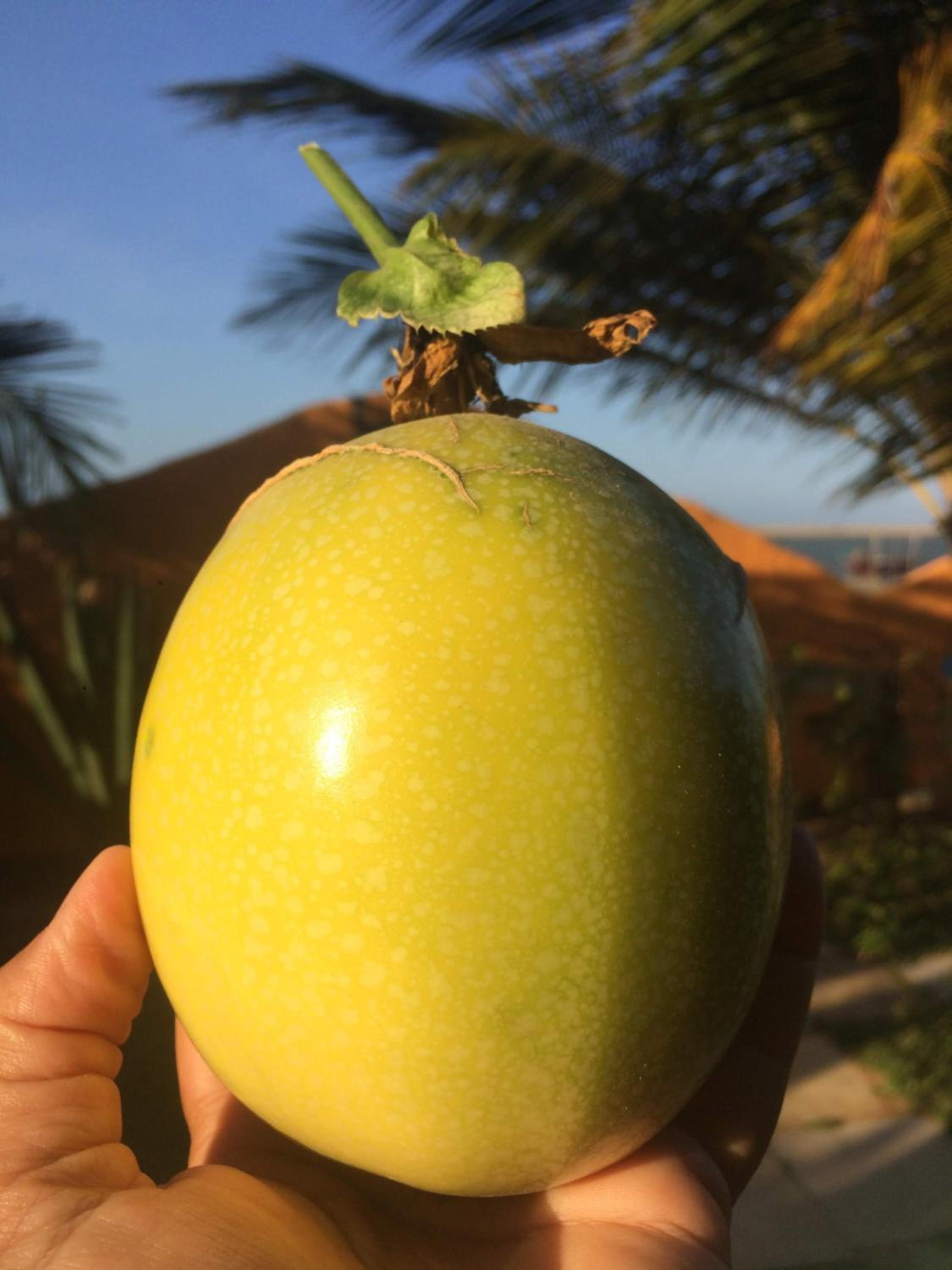 Pousada Kite Guajiru