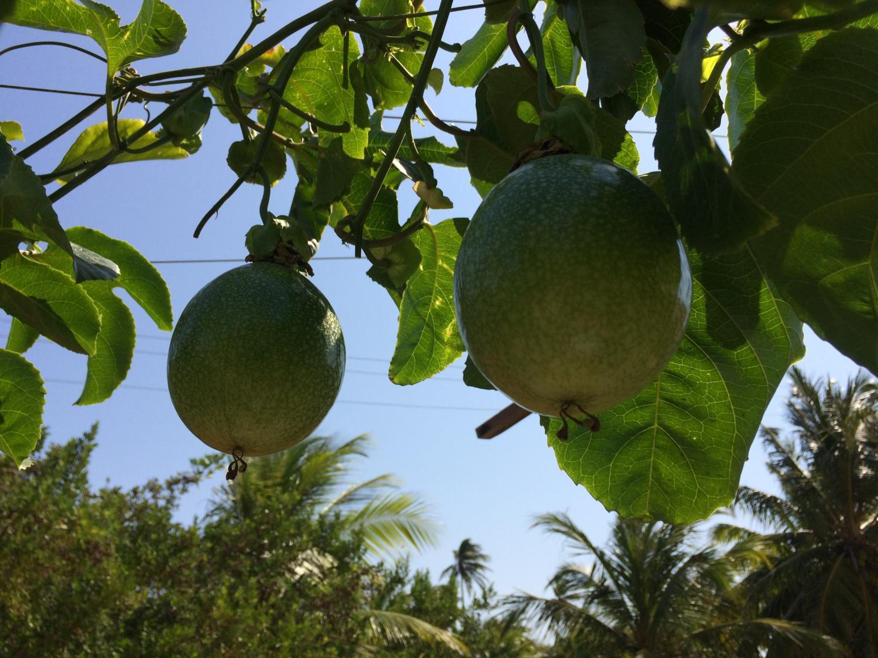 Pousada Kite Guajiru