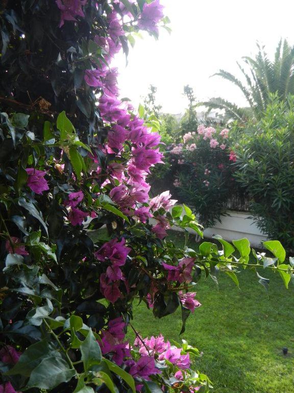Photo 34