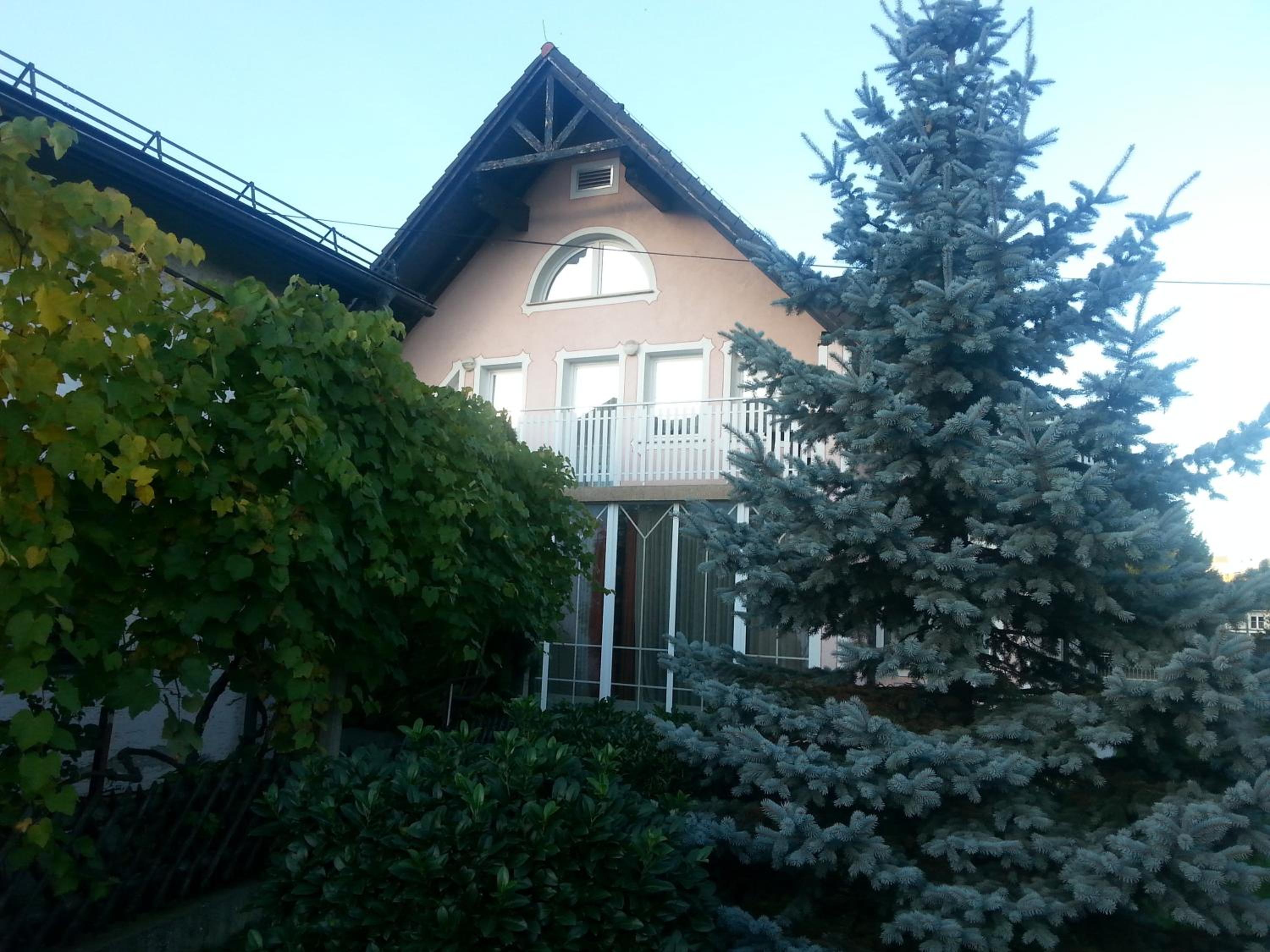 Photo 32