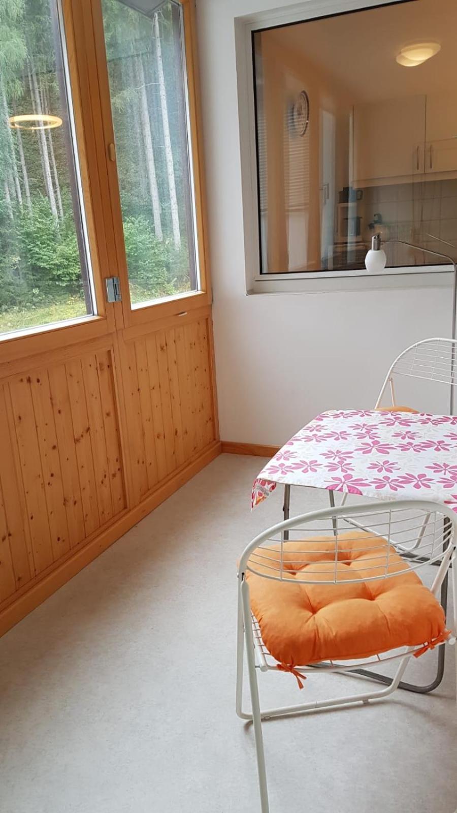 Wohlfühl - Appartement Fewo Pichlarn Irdning Ferienwohnung