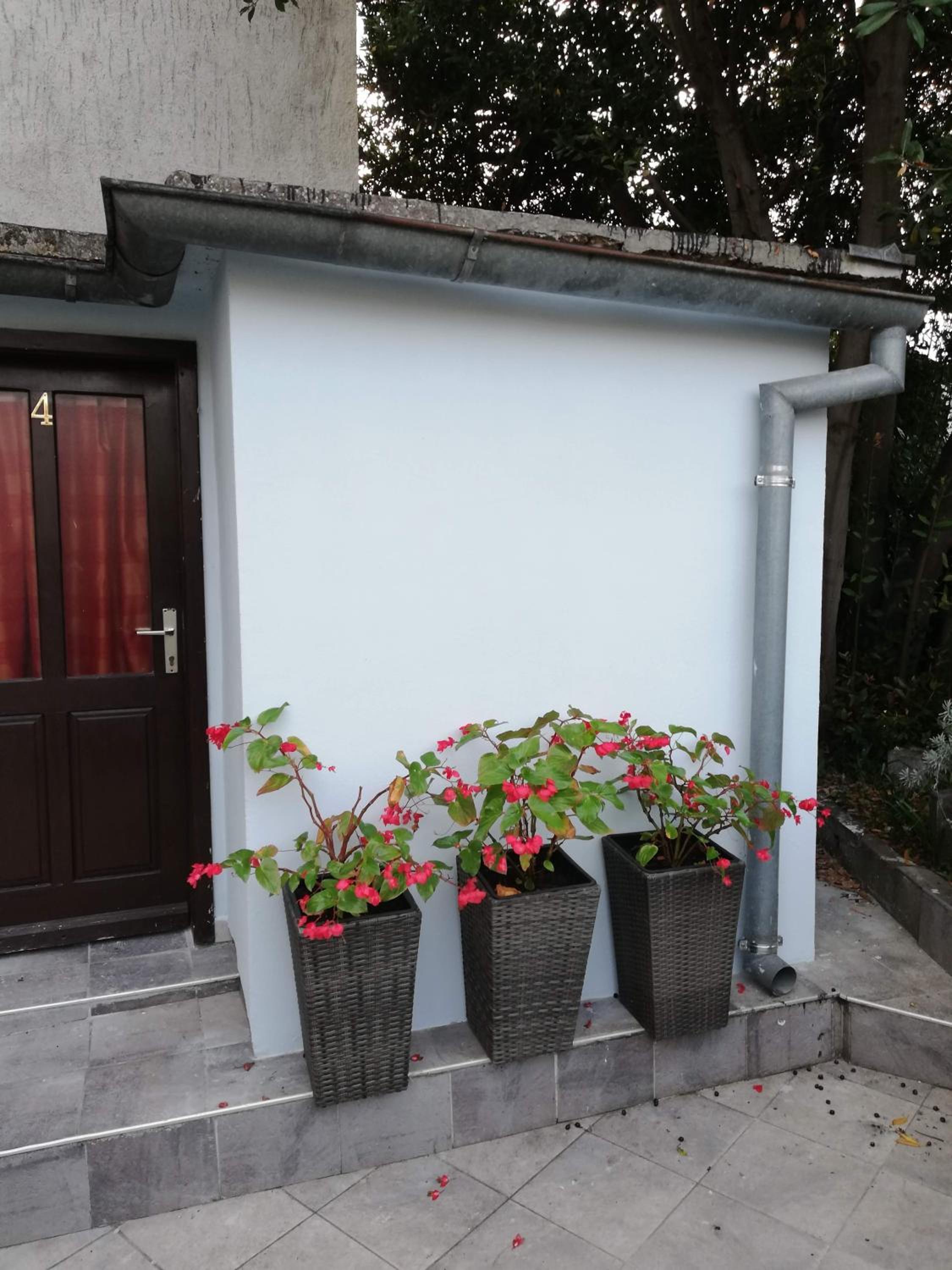 Guest House Accommodation Rupine
