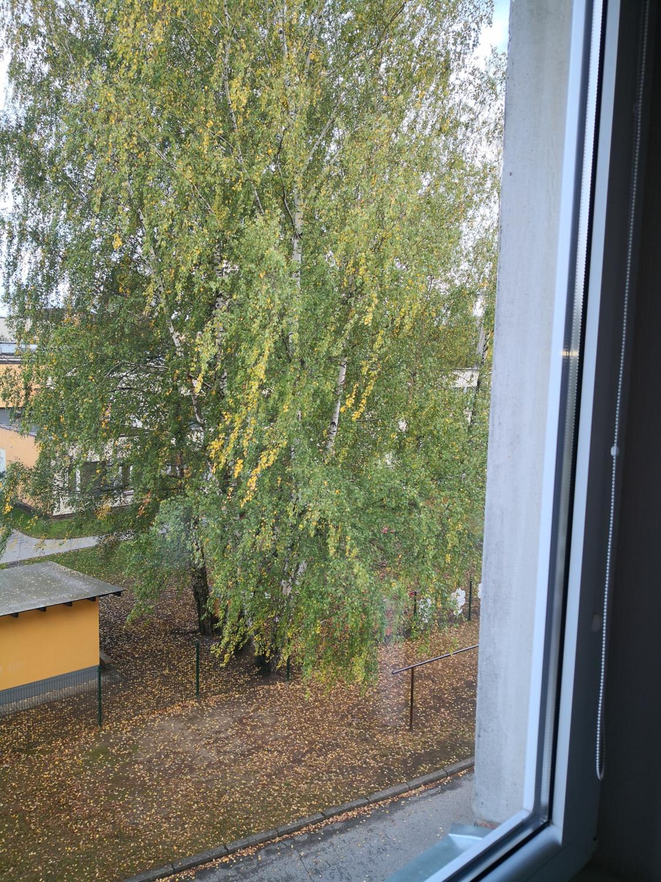 Photo 28