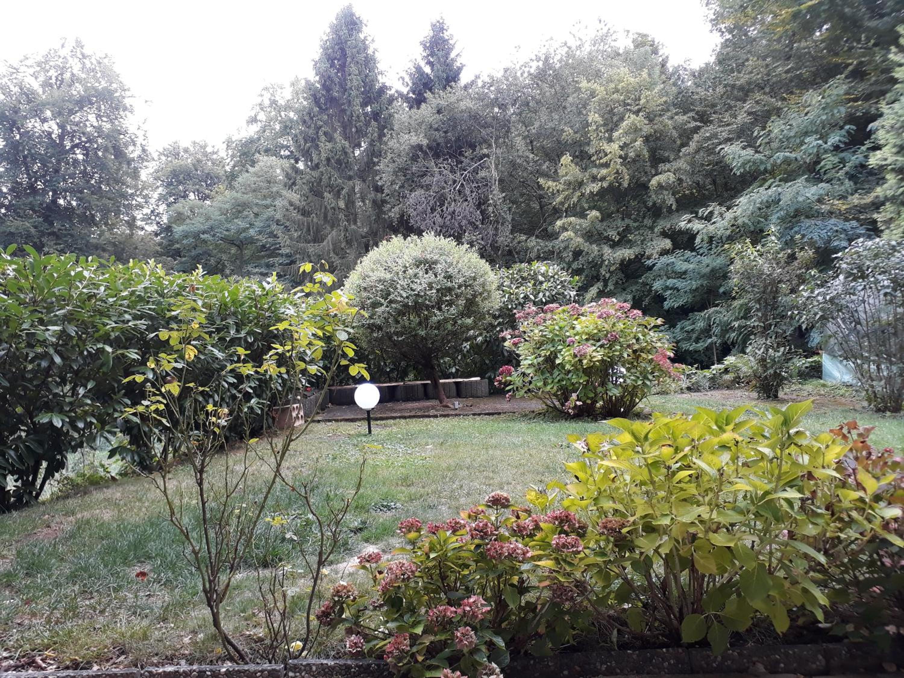 Fewo-Eichenkopf view 2