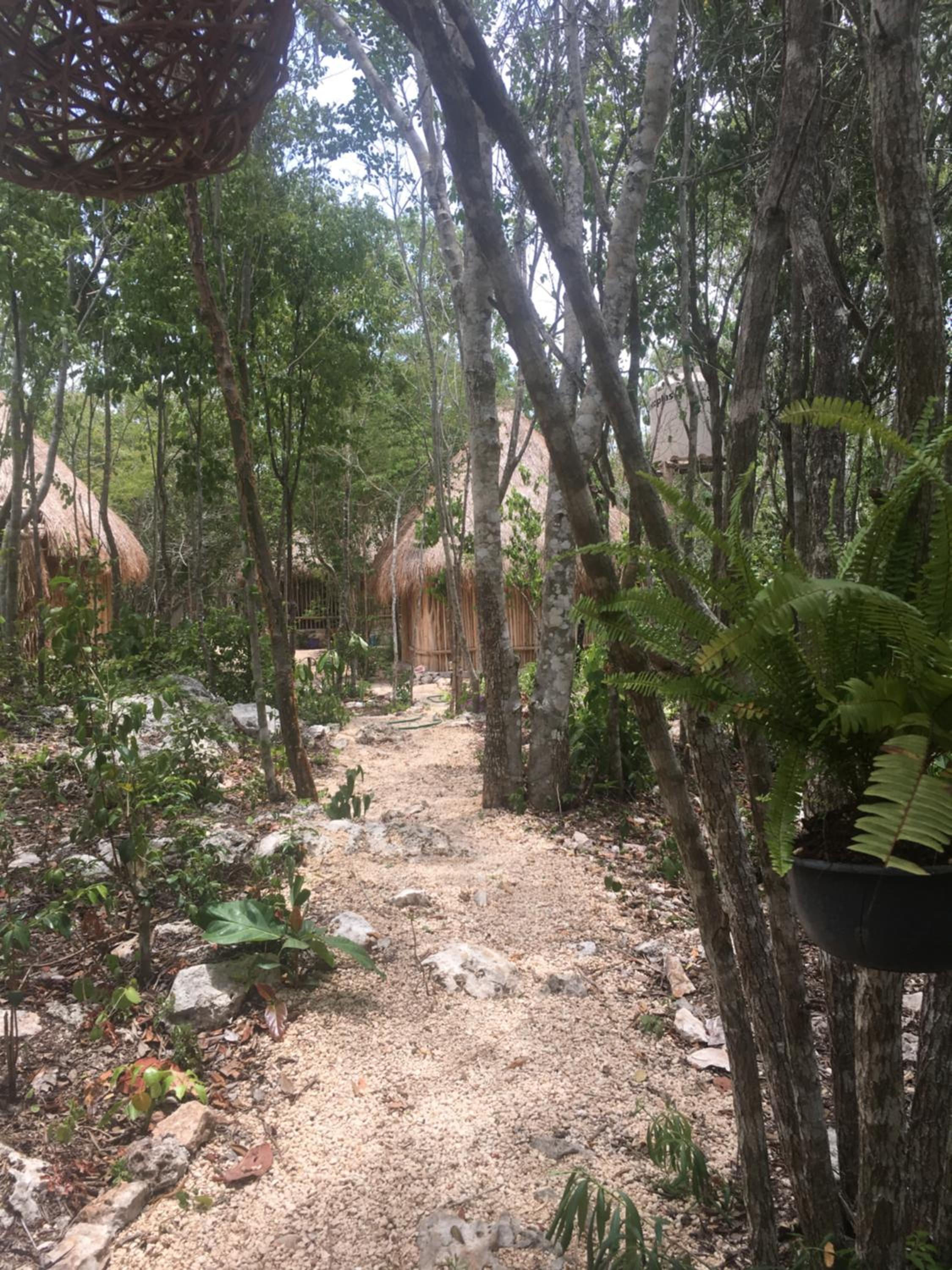 Photo 48