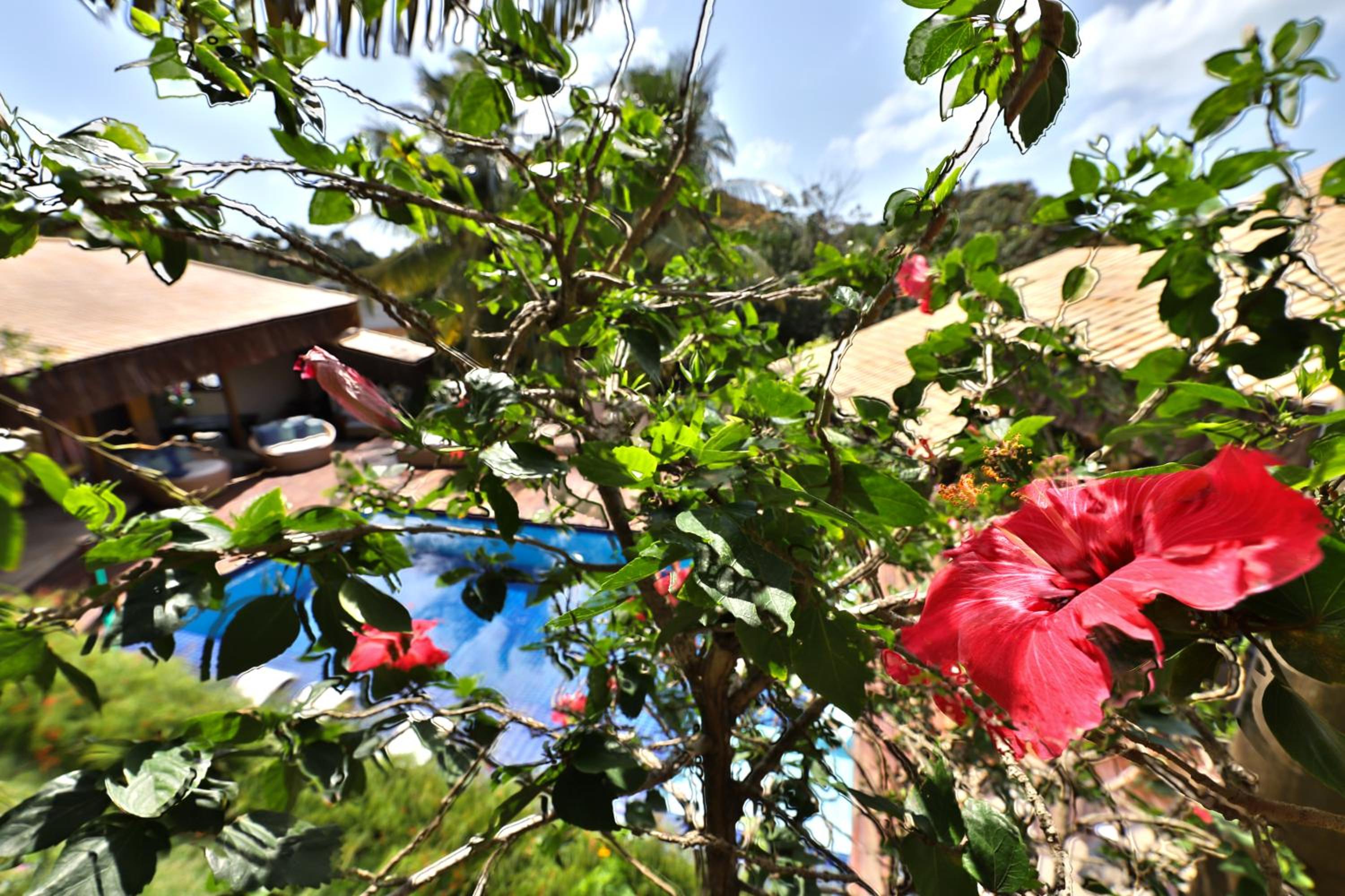 Xamã Senses - Hotel Pousada