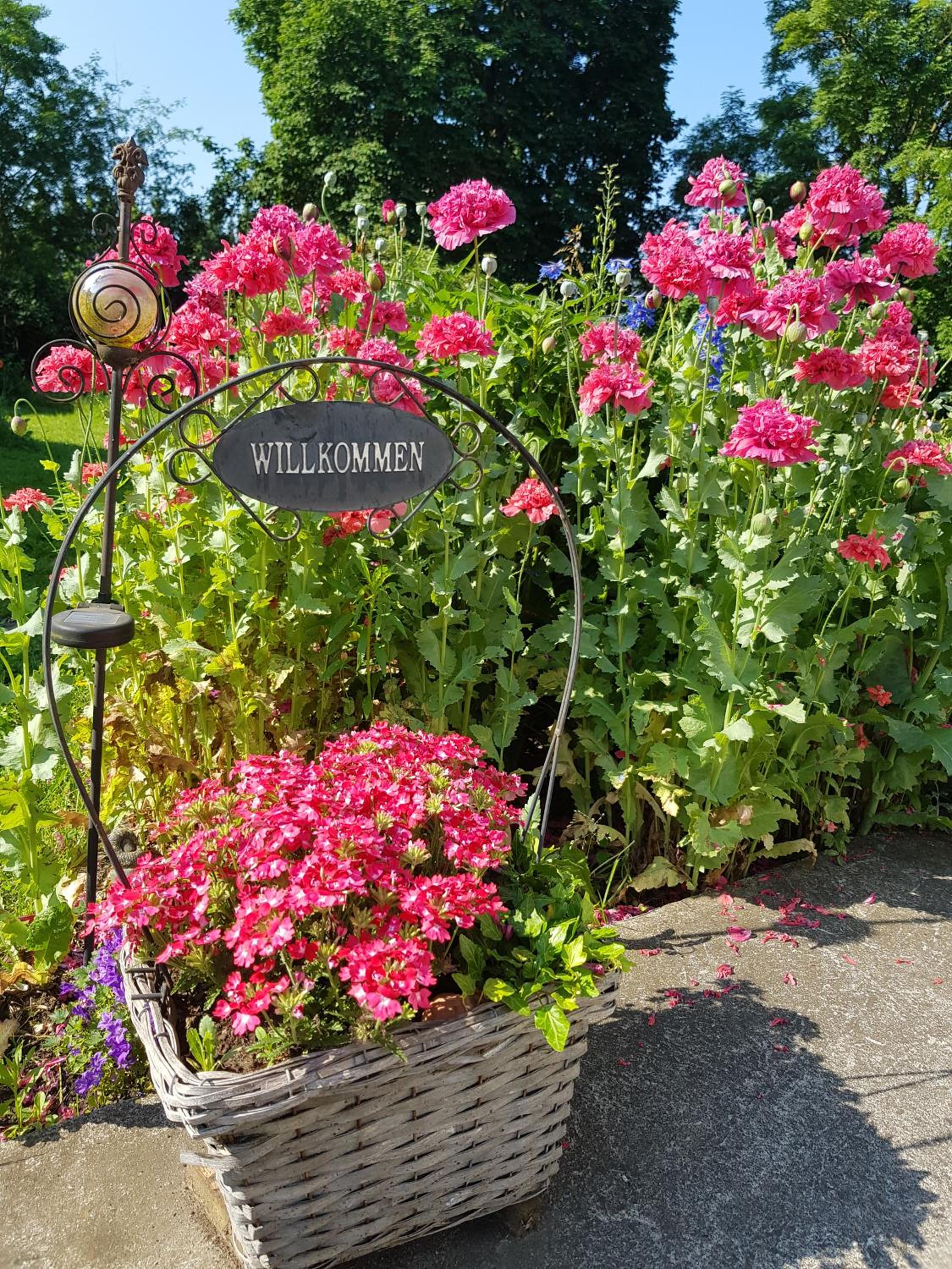 Villa Wiese