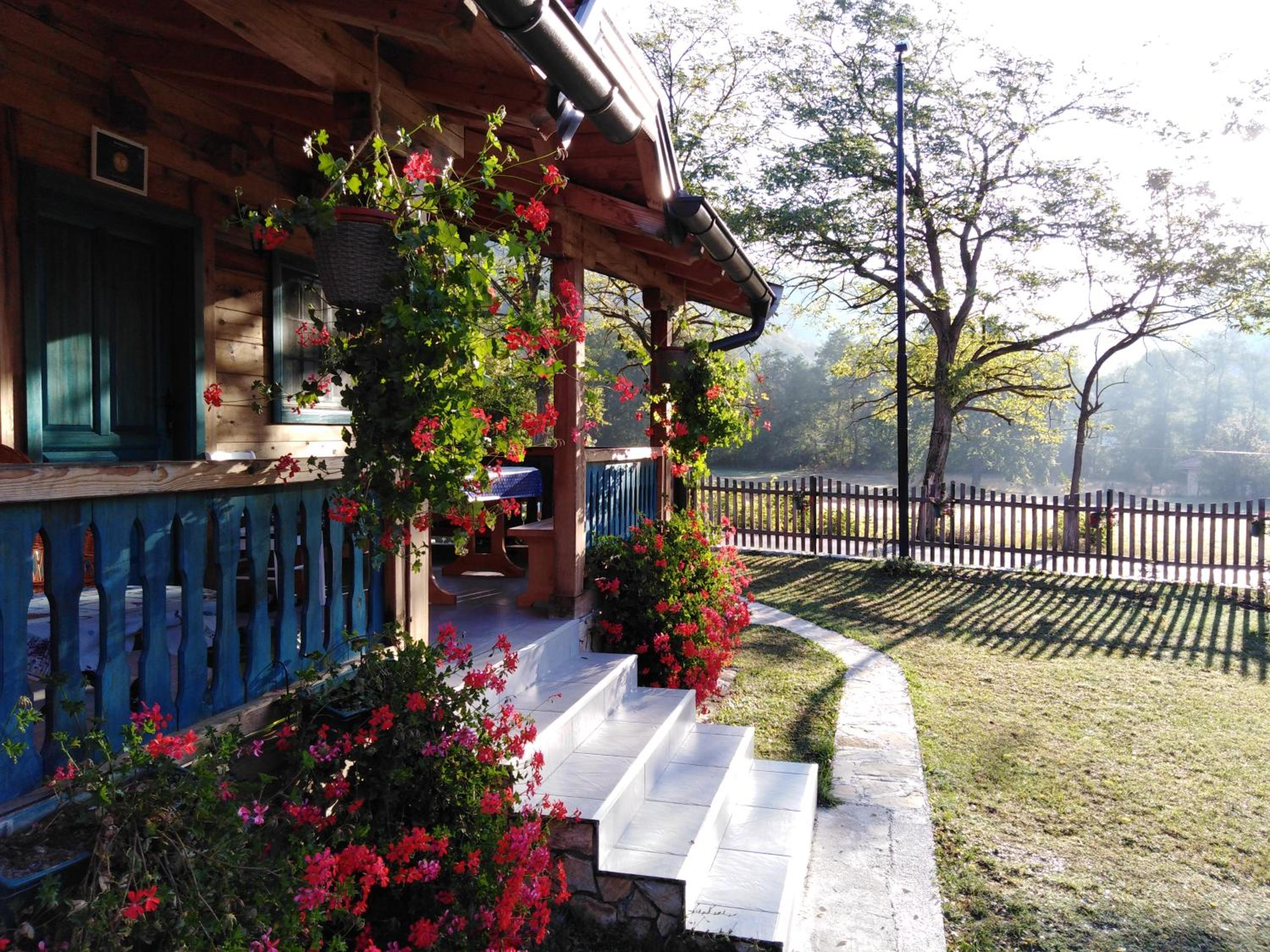Apartment Bajka