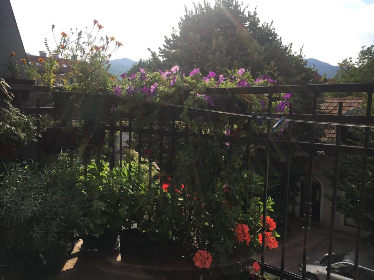 Guest House Pansion 10 view 4