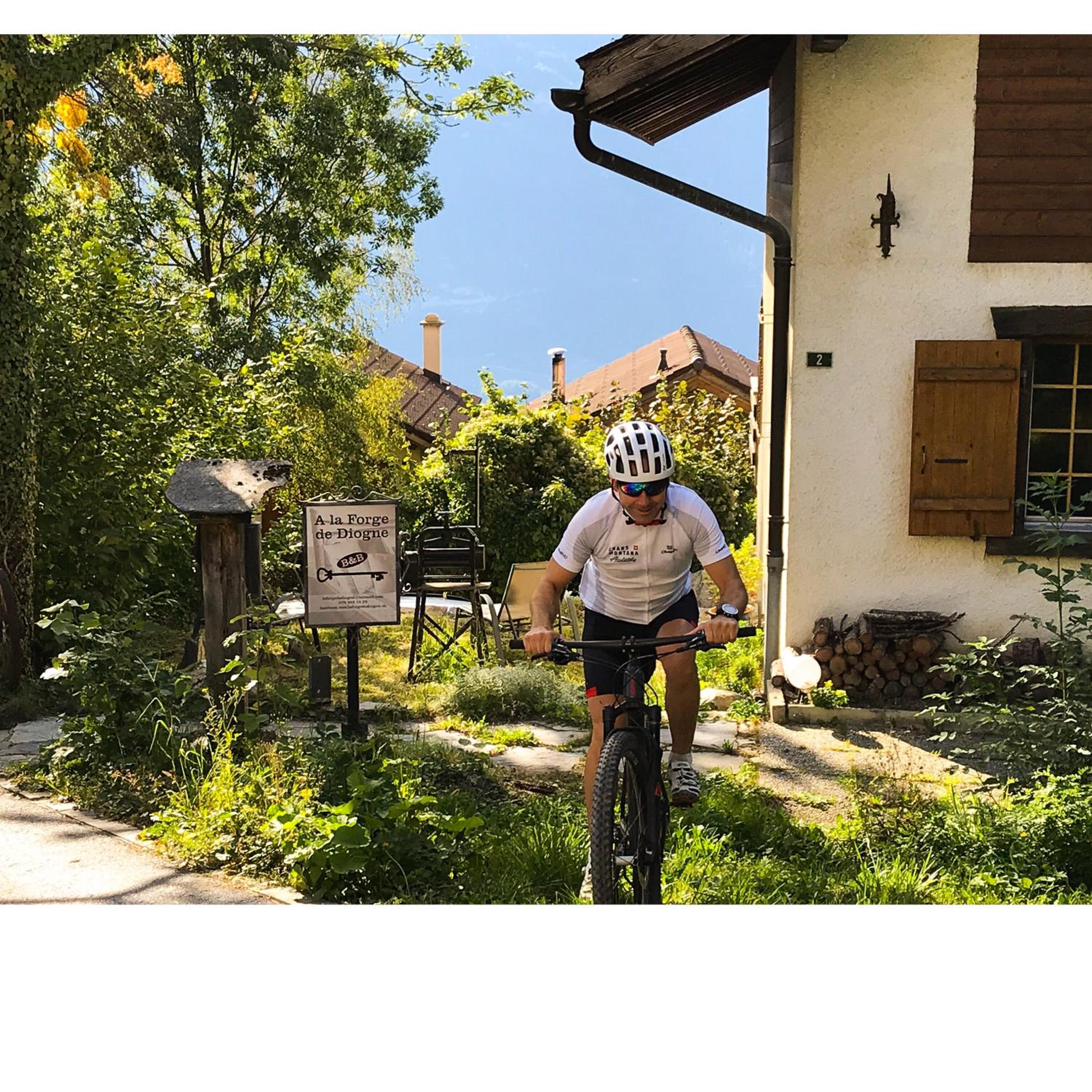 B&B La Forge de Diogne - luxury and cosy alpine lodge