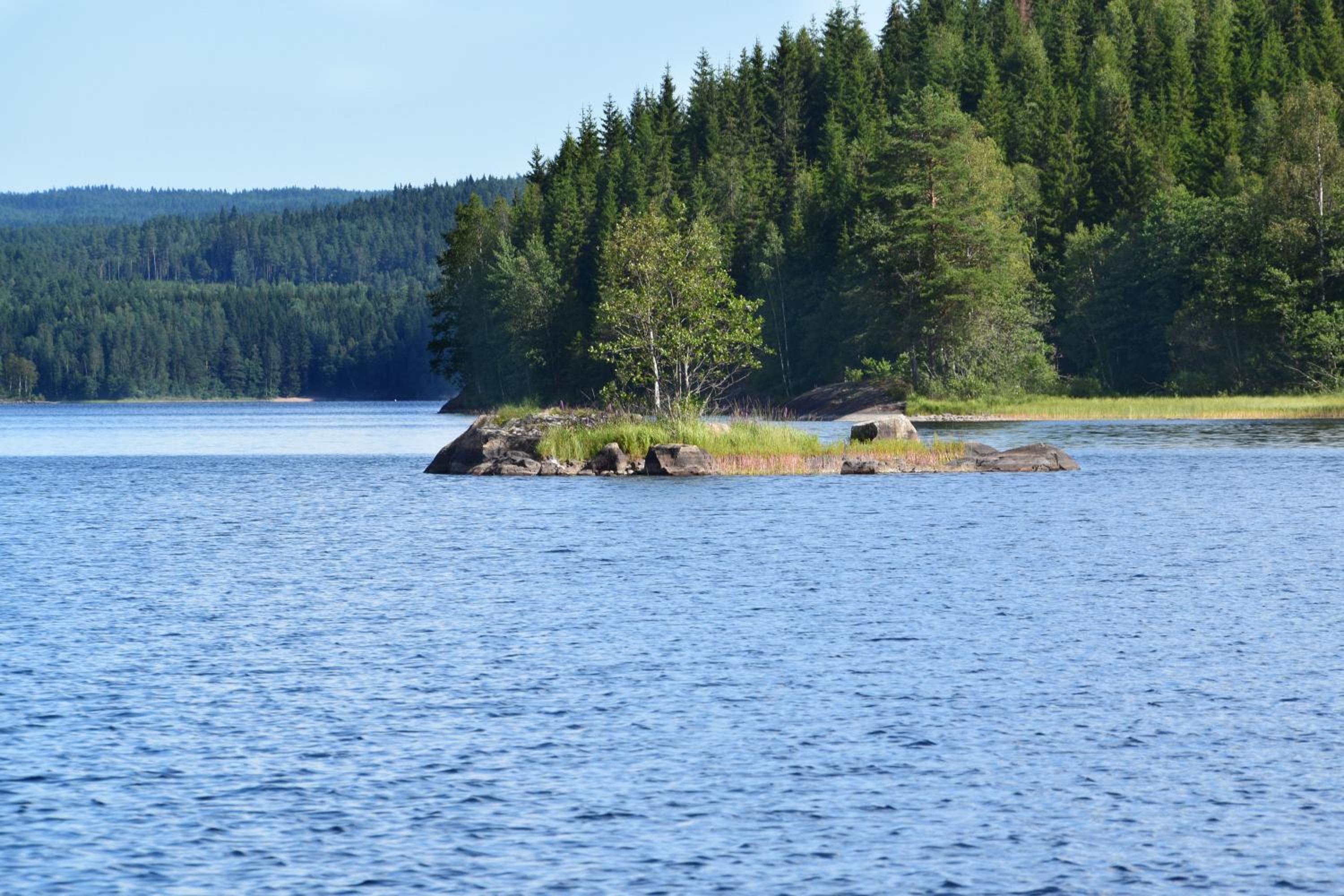 Photo 42