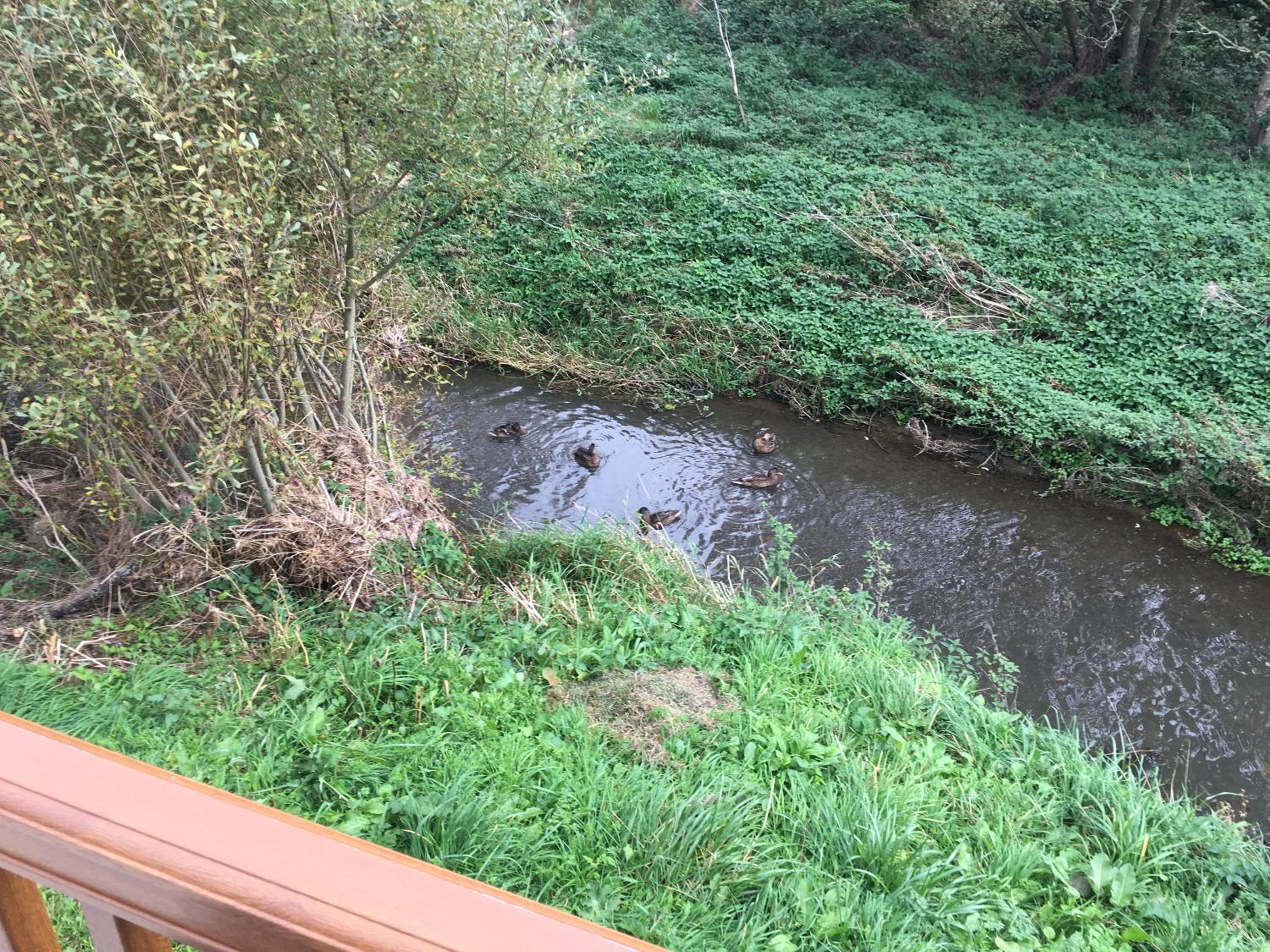 Photo 21