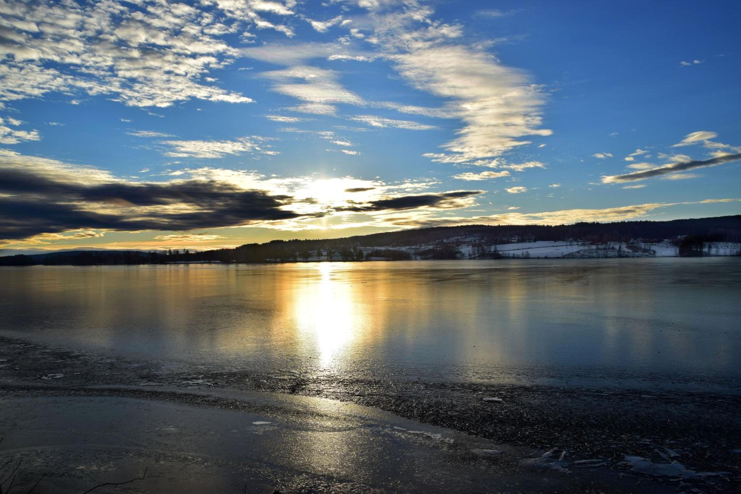 Photo 41