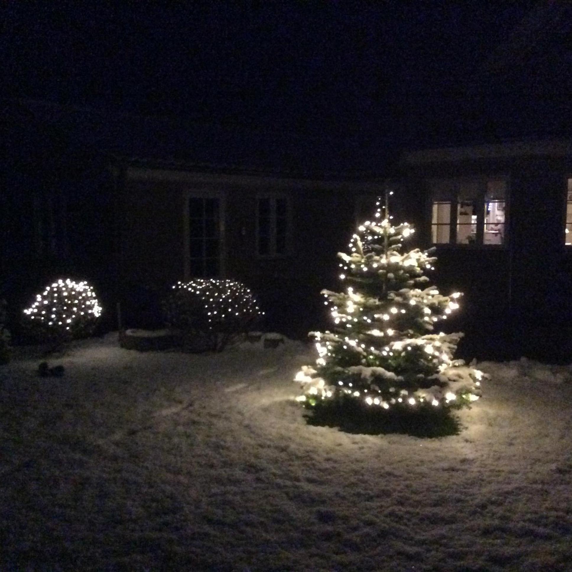 Photo 13