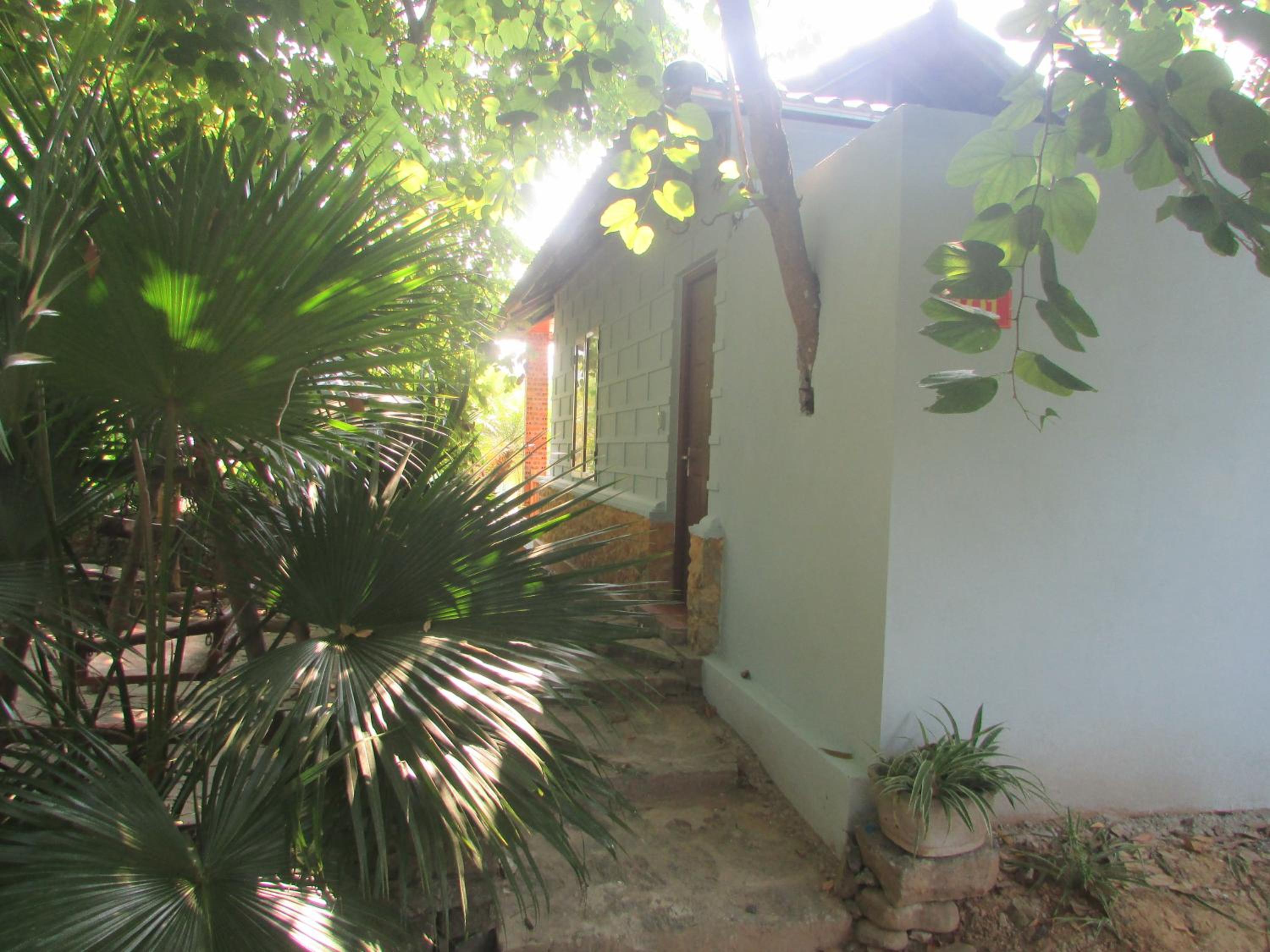 Photo 46