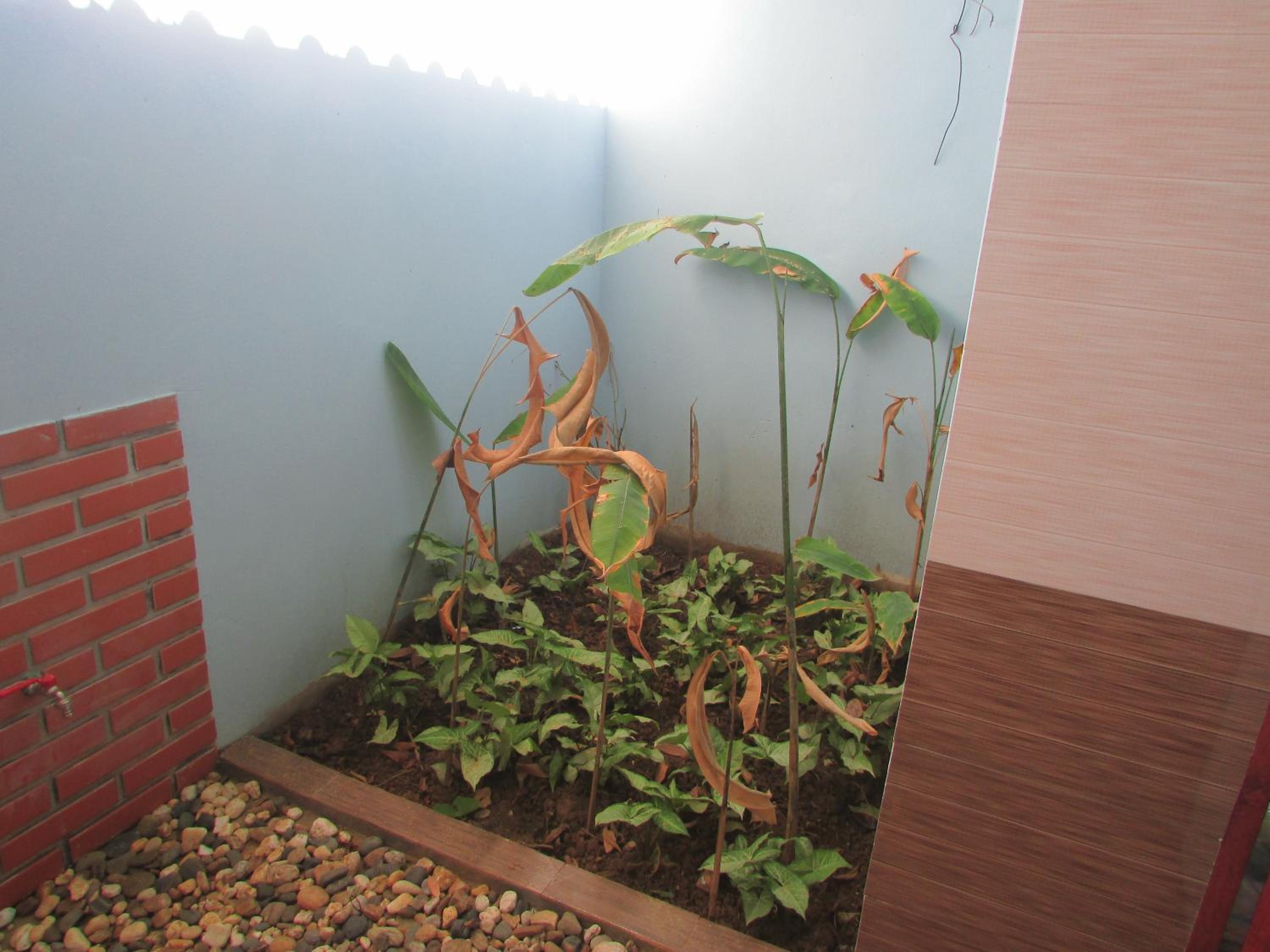 Photo 35