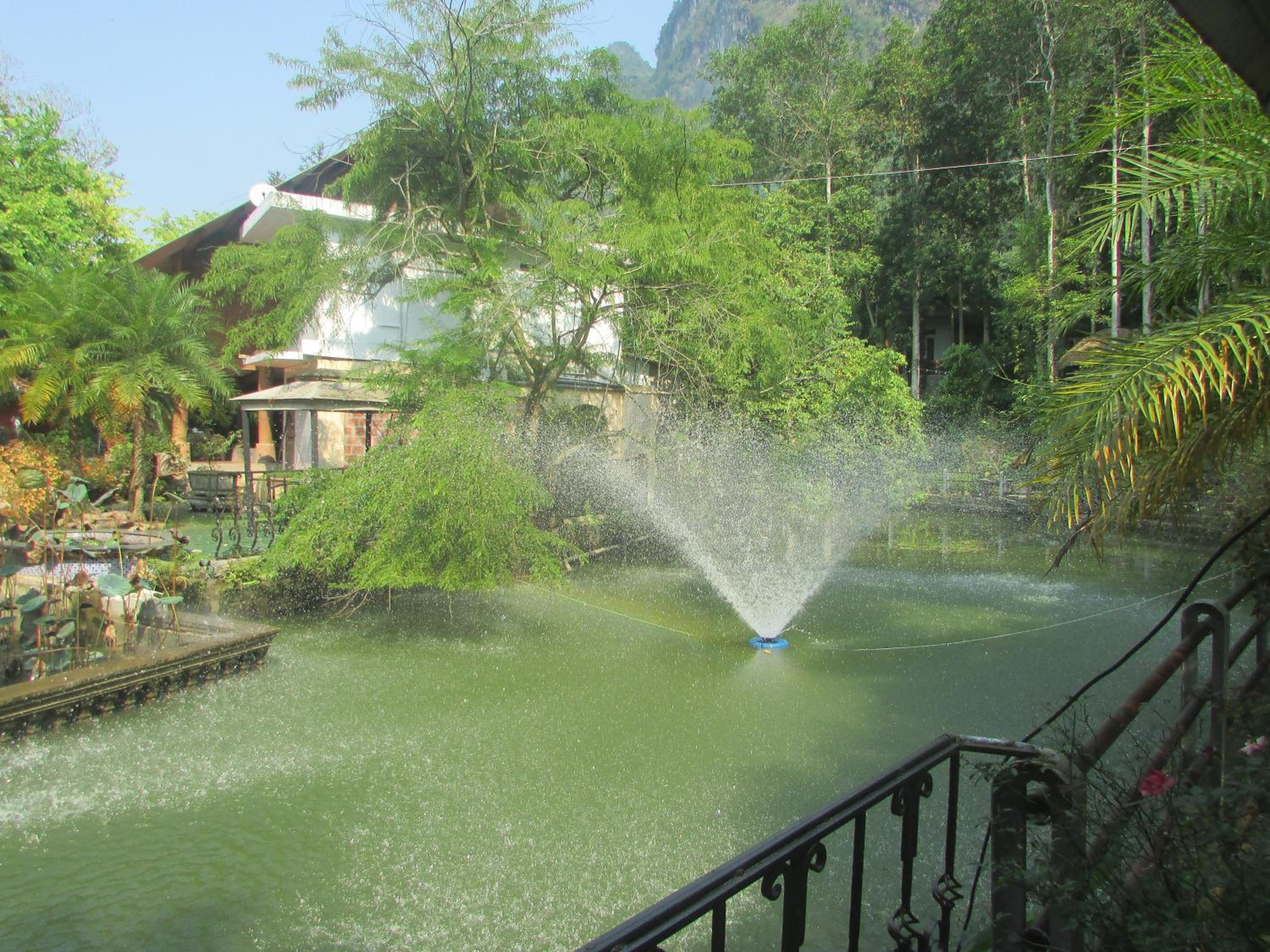 Photo 44