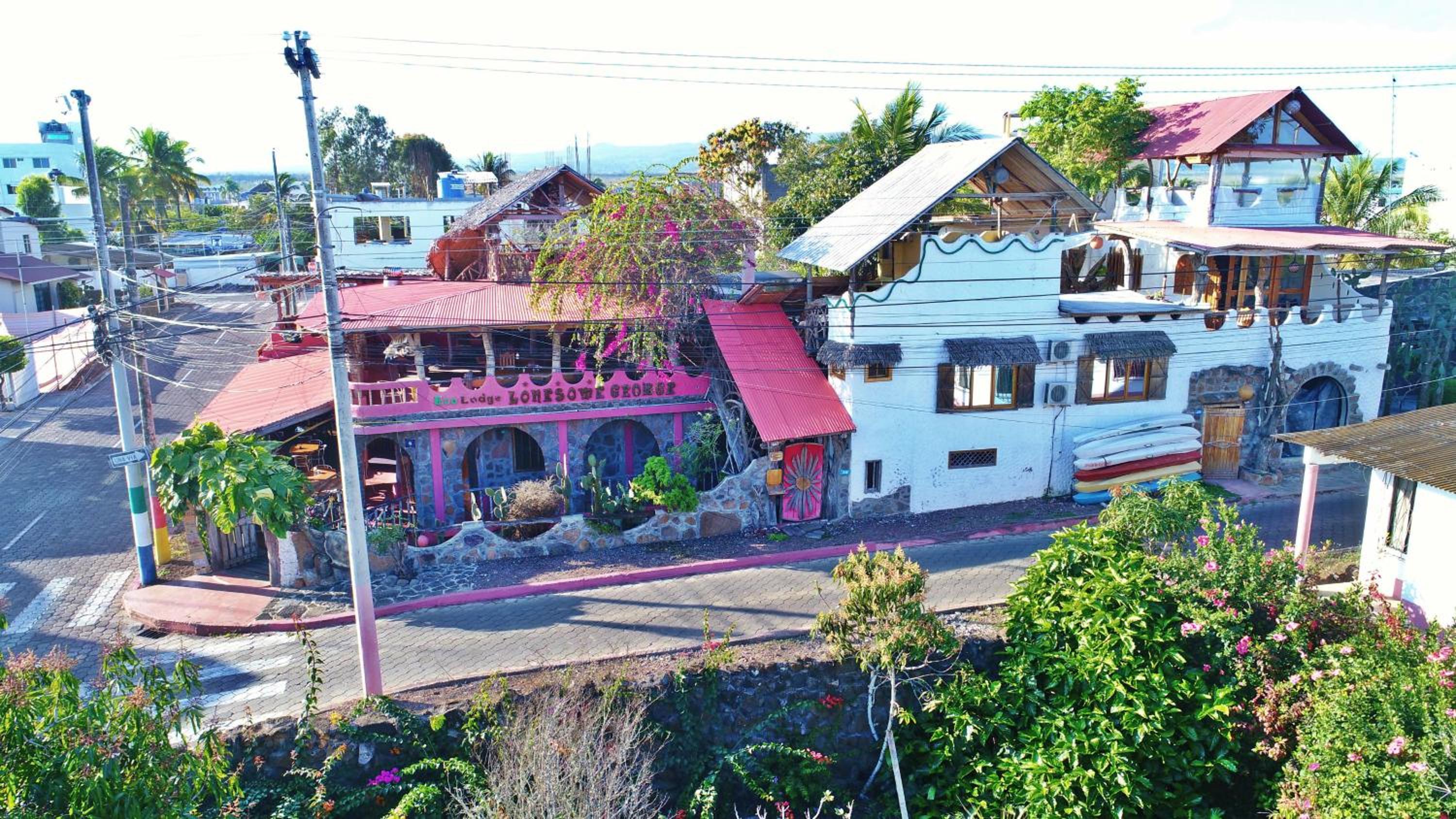 Hotel Lonesome George Ecolodge - Image 1