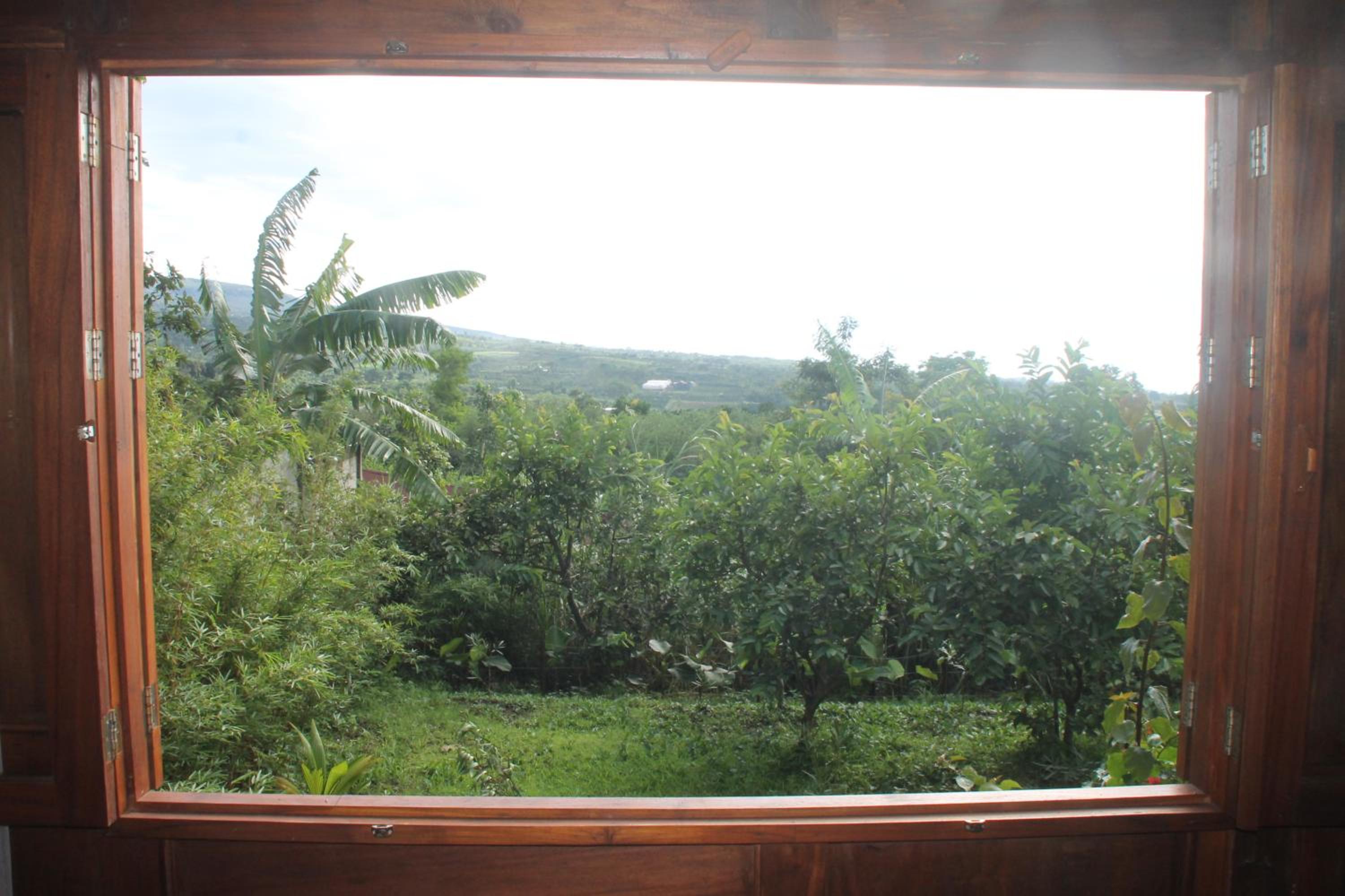 Joglo Exotico view 4