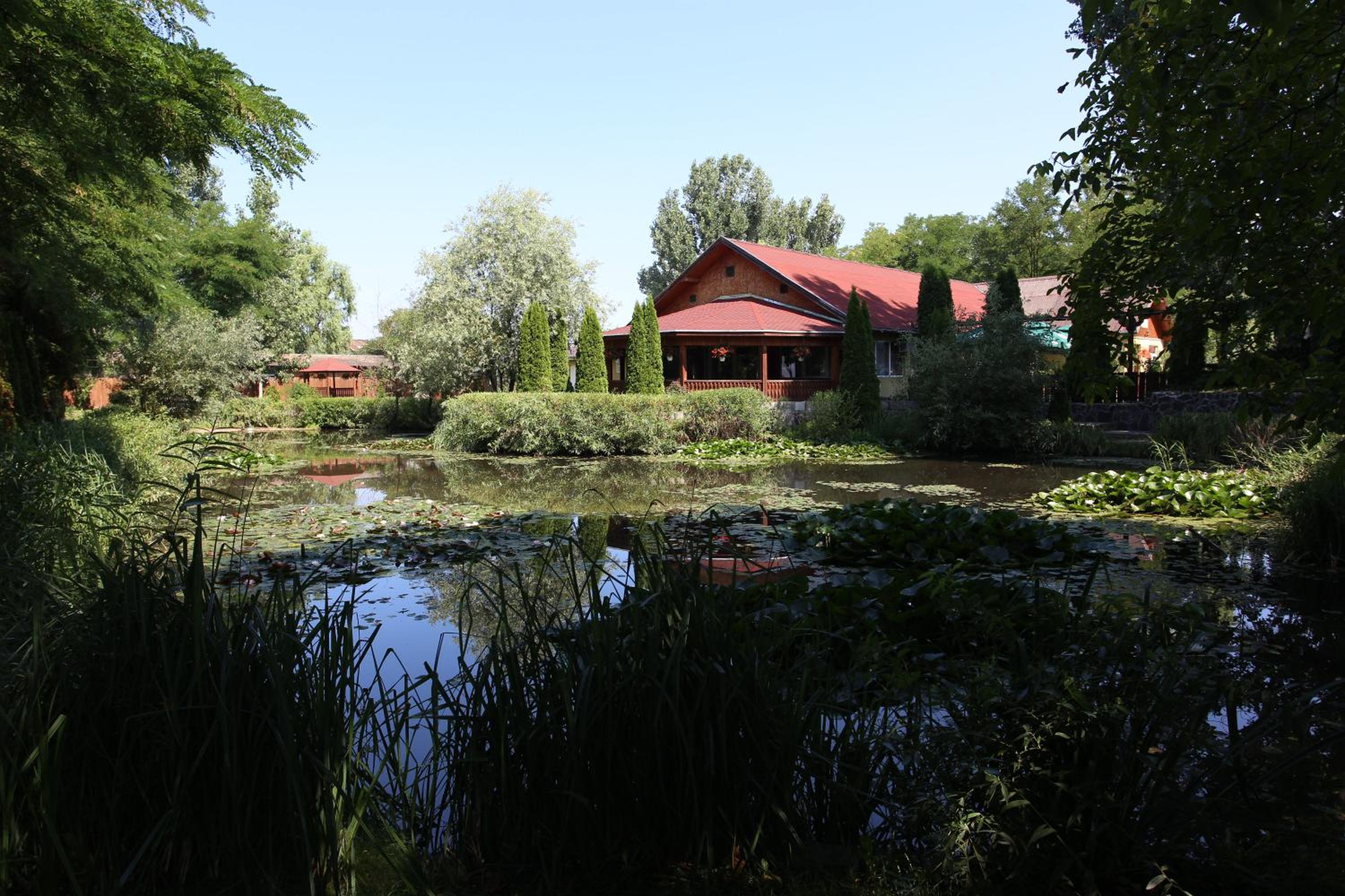 Photo 7