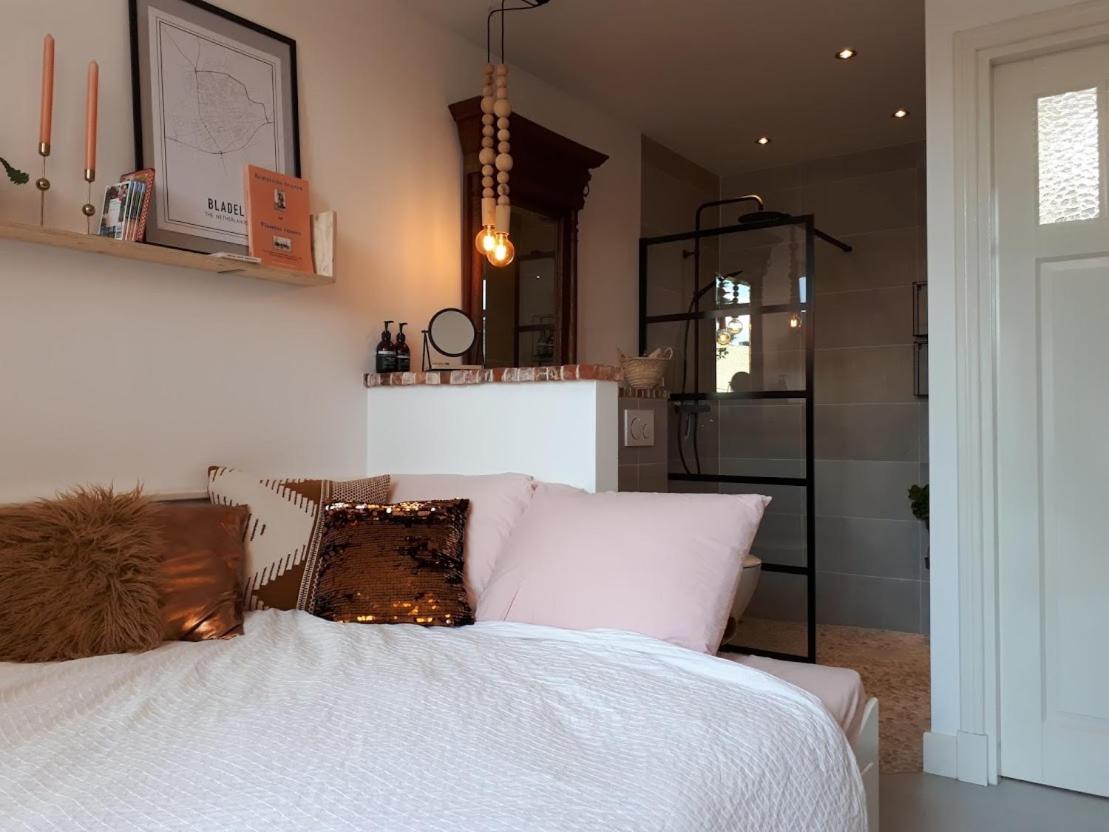 Het Gindrahuis view 2