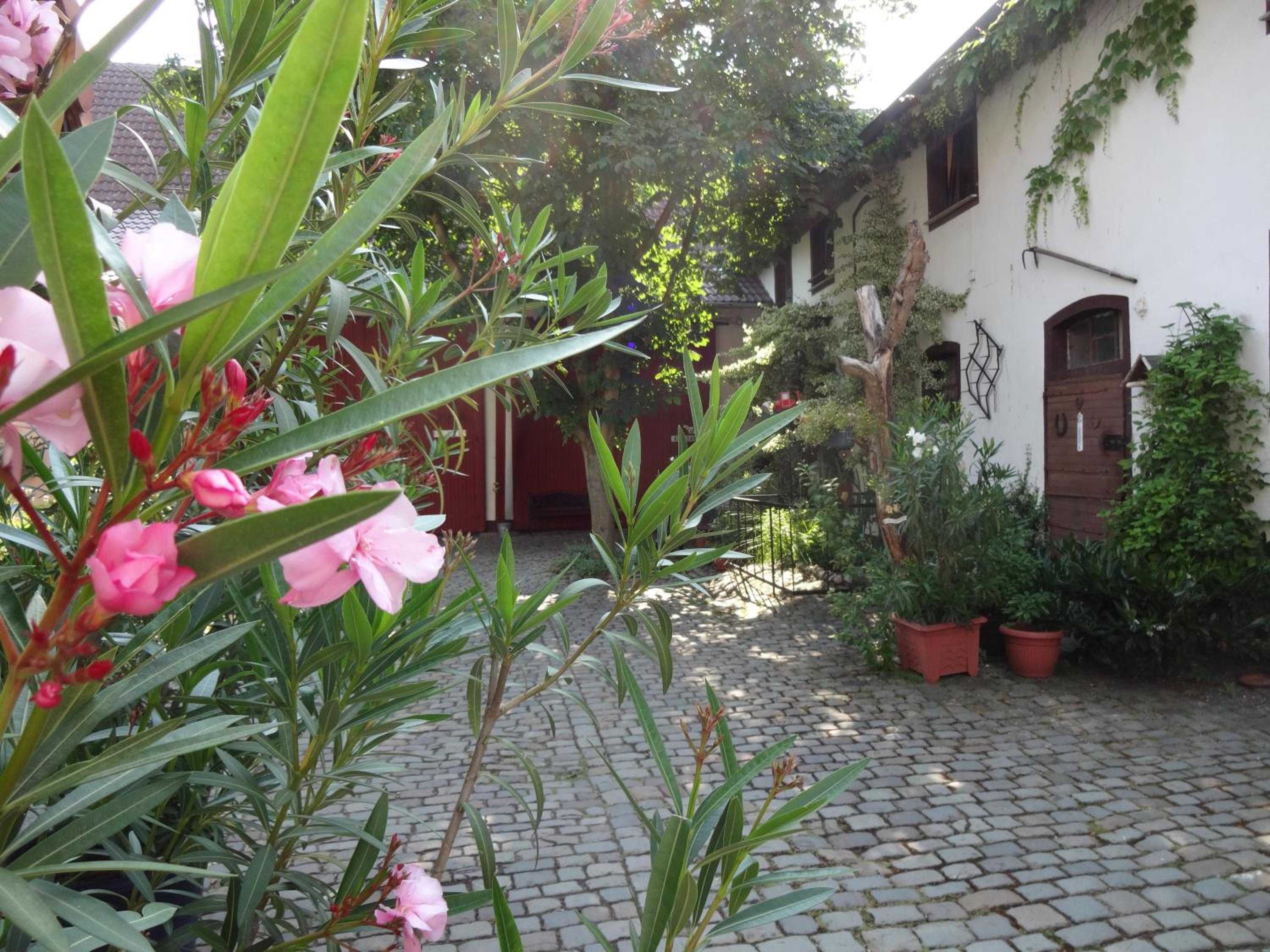 Pension Deerkemer Kuh