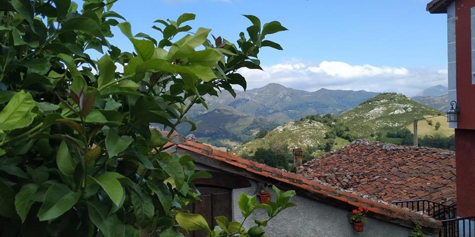 Casa Rural Alborada photo 4