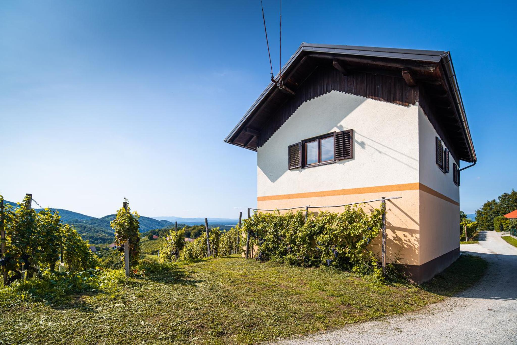 Photo 32