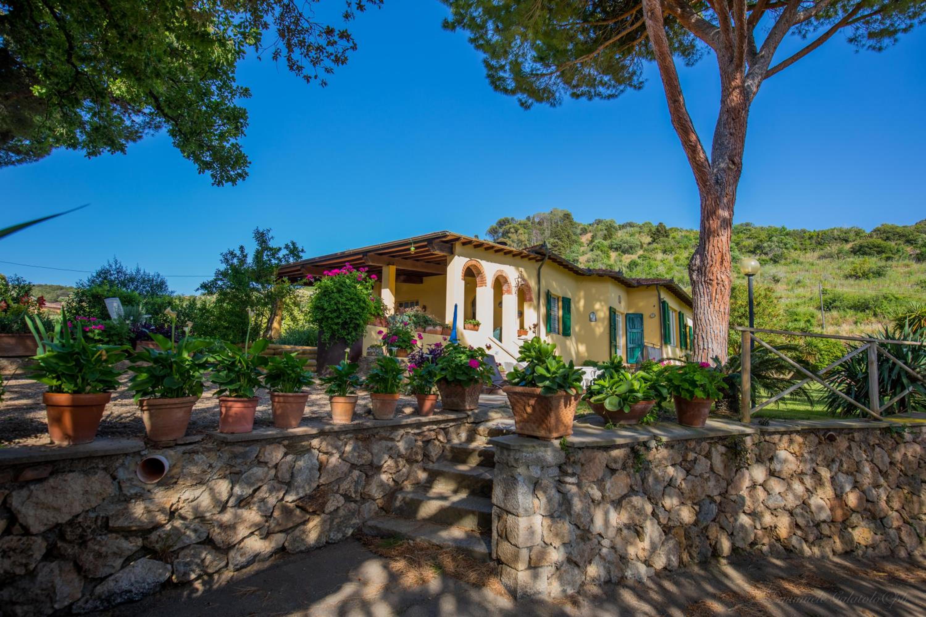 Mediterranean Villa