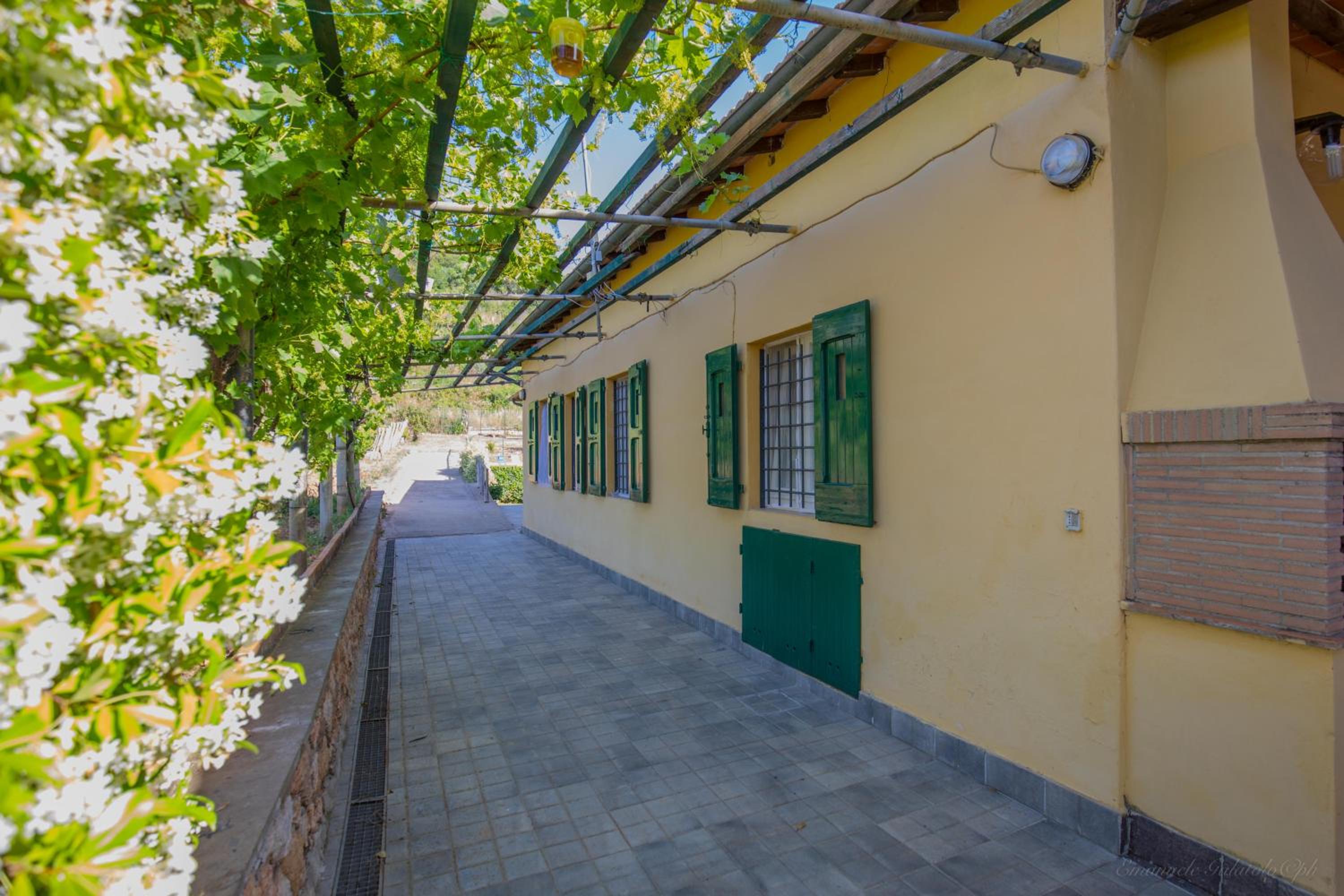 Mediterranean Villa photo 3