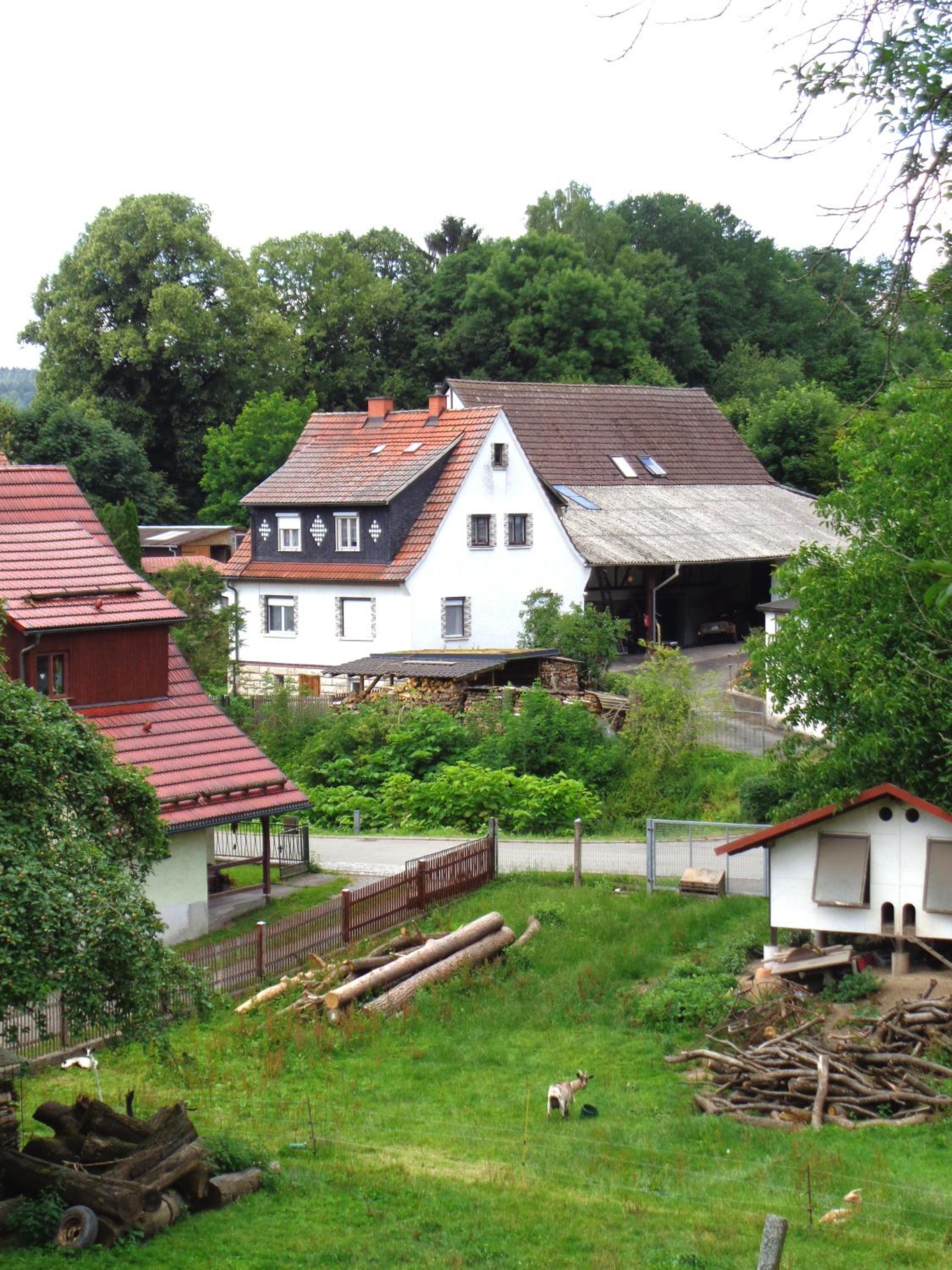 Photo 9