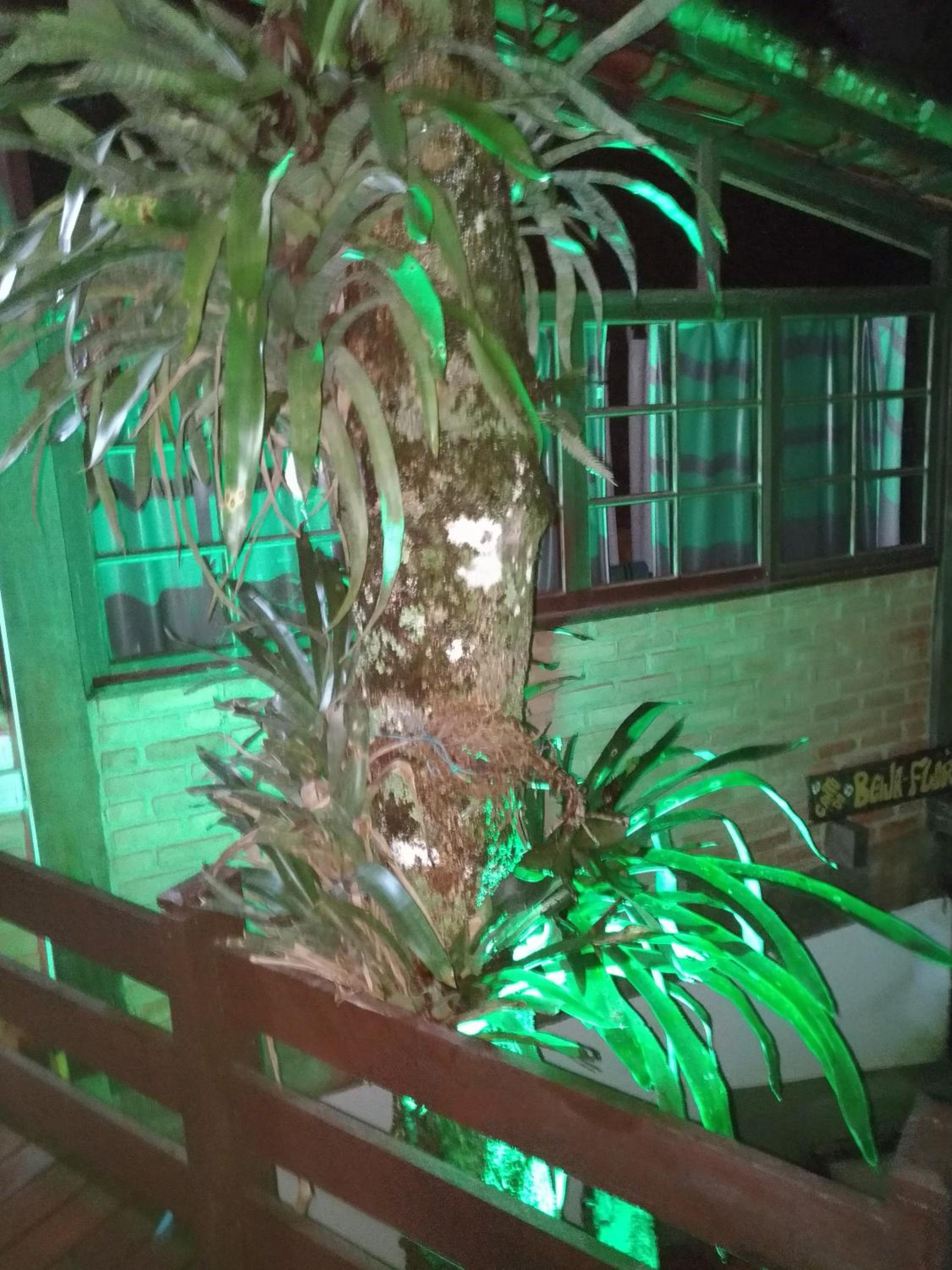 Casa Petrópolis Temporada