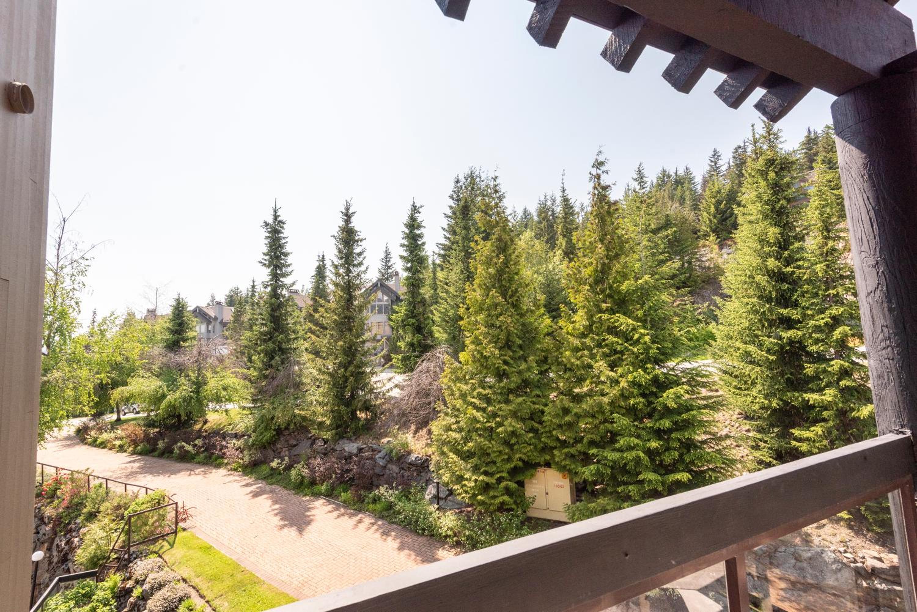 The Ironwood on Blueberry Hill