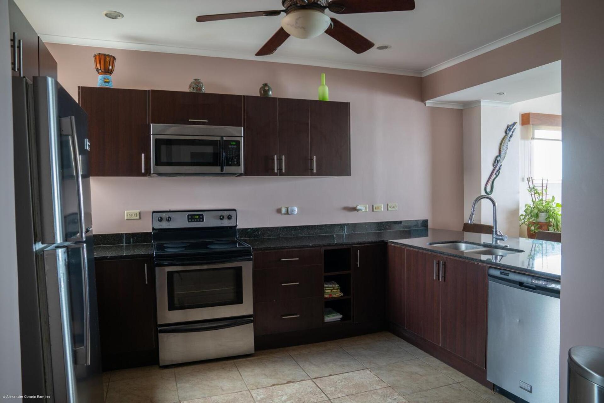 The Palms Oceanfront Condo 604