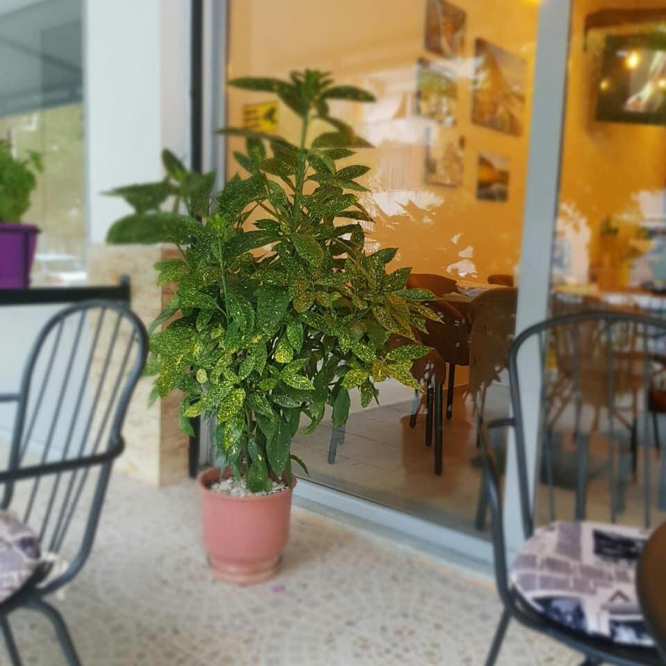 Dimitri Guest House